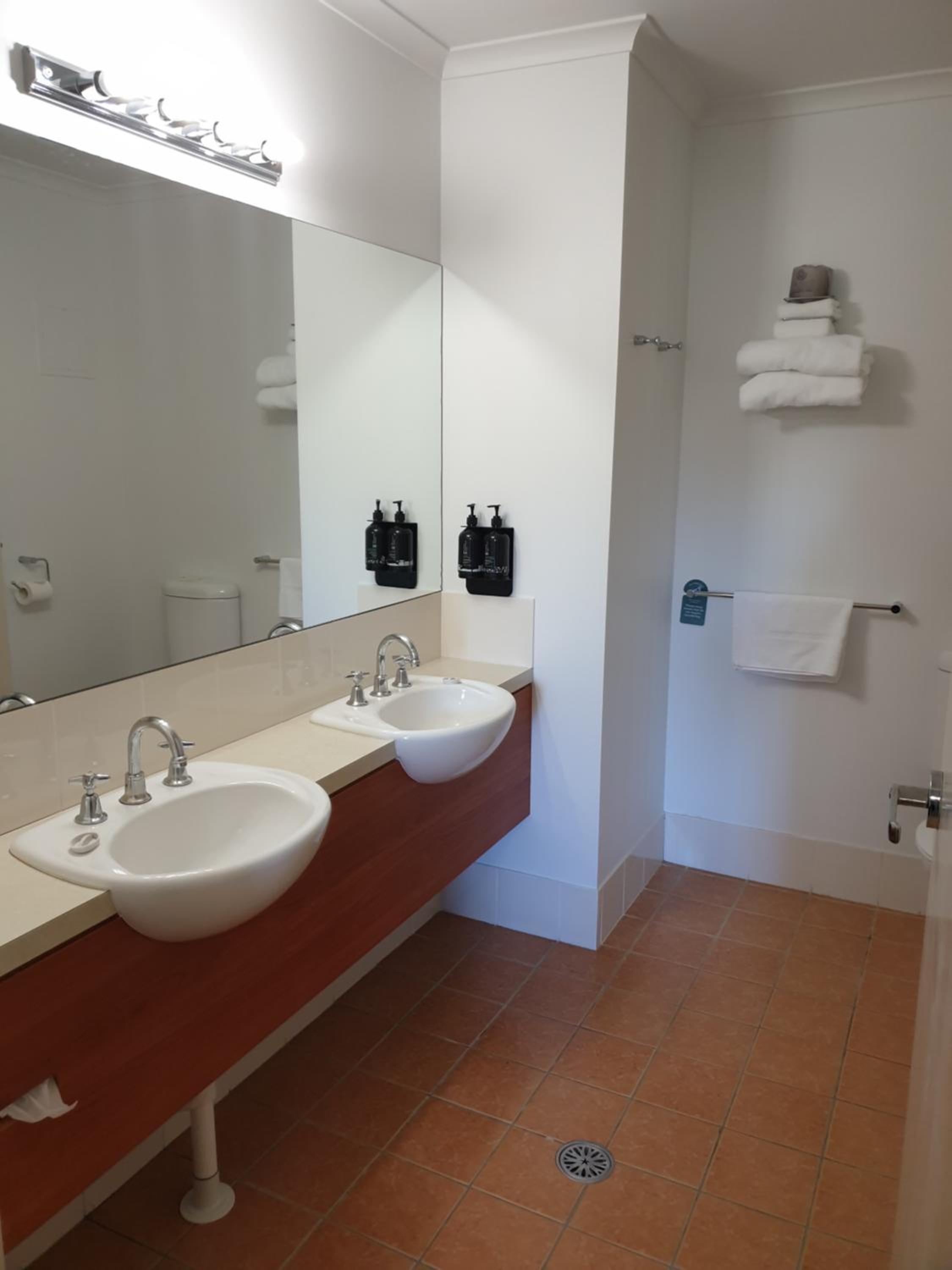 Deluxe King Suite photo 2