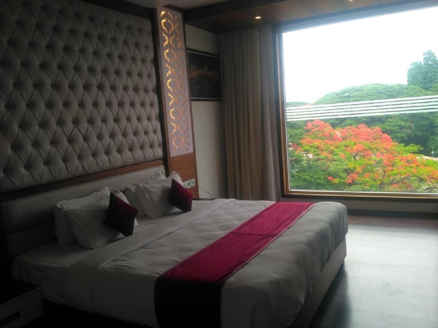 Suite - Photo 5