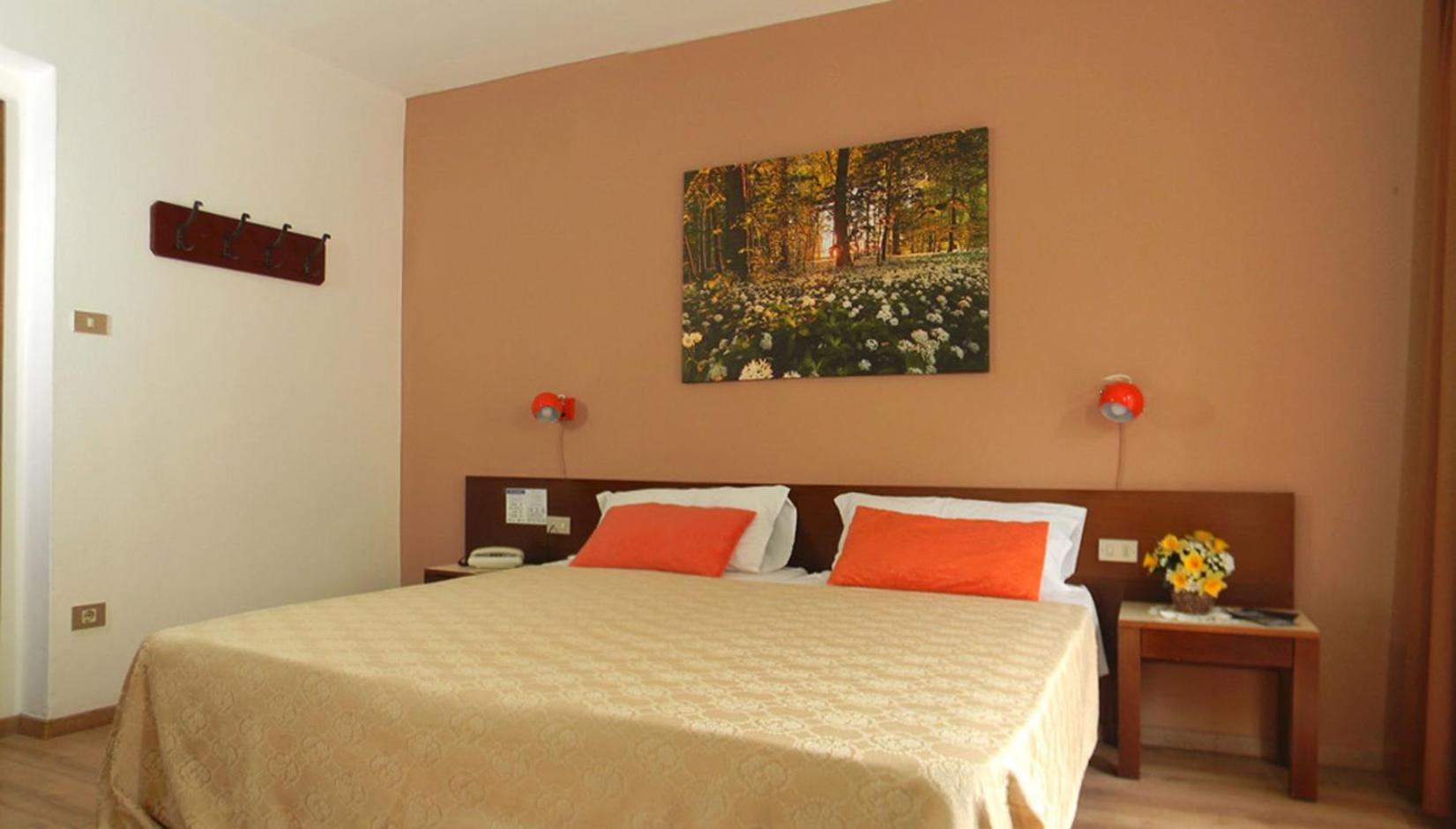 Double or Twin Room photo 1