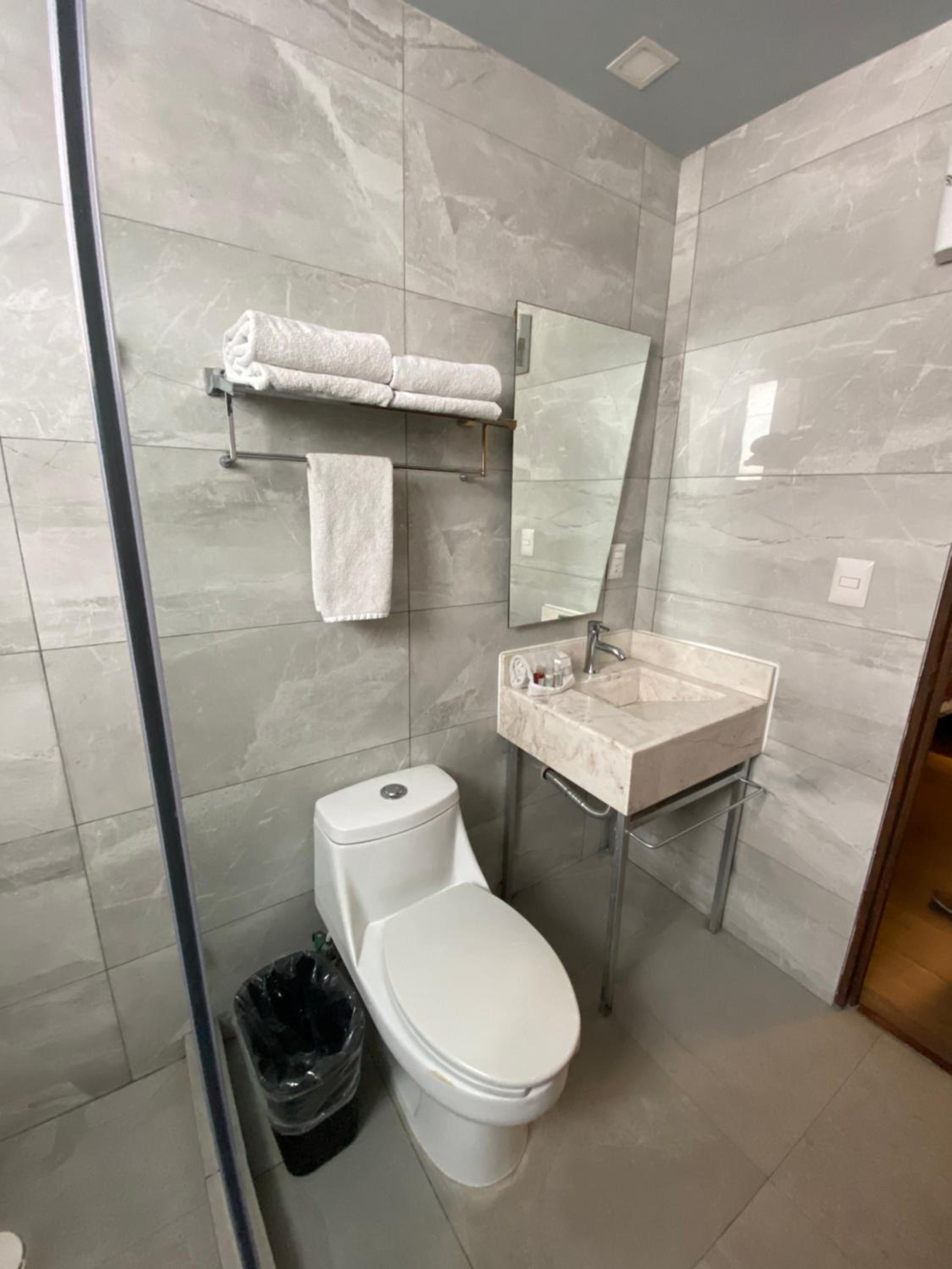 Deluxe King Suite - Photo 13