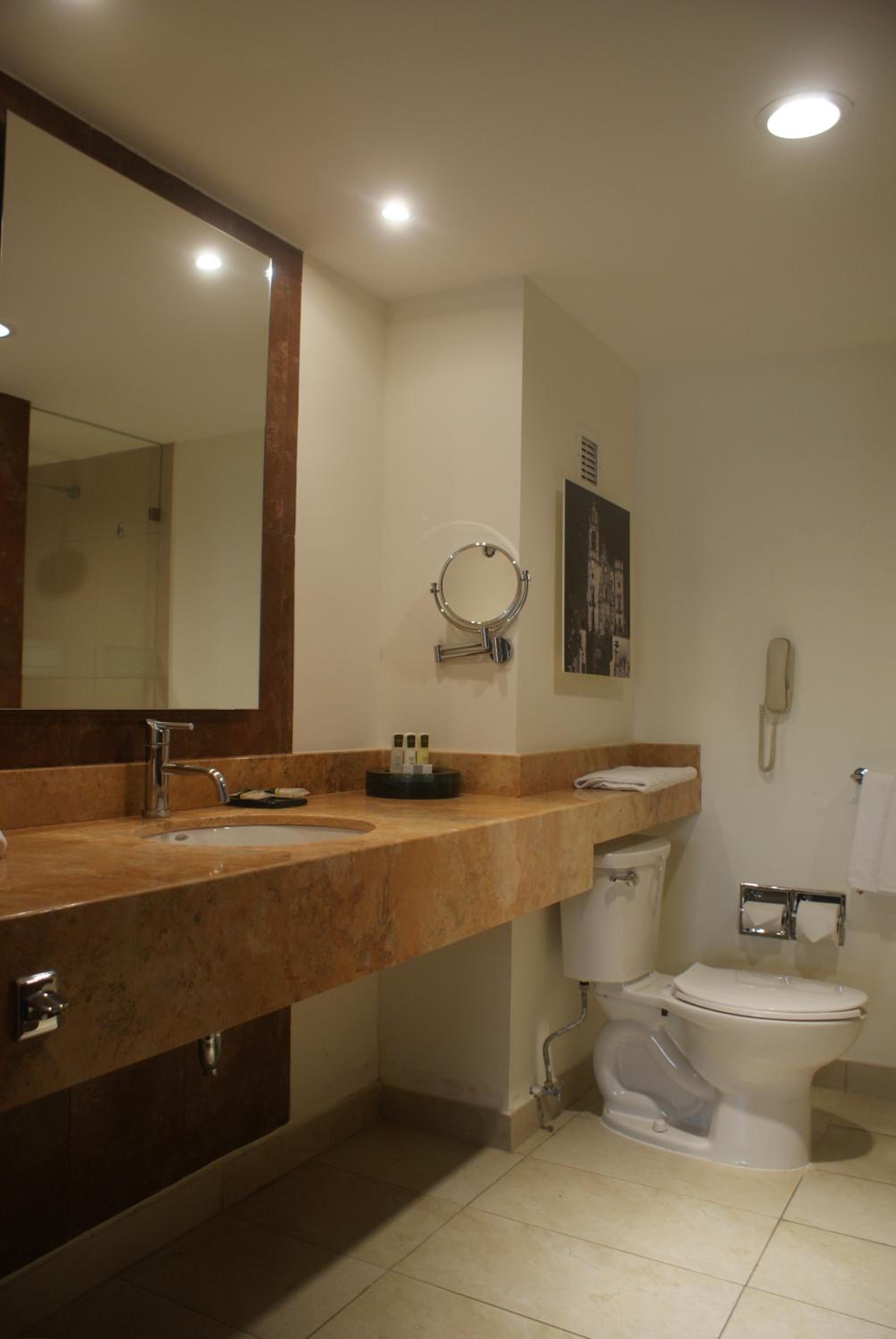 Executive King Room - Photo 6
