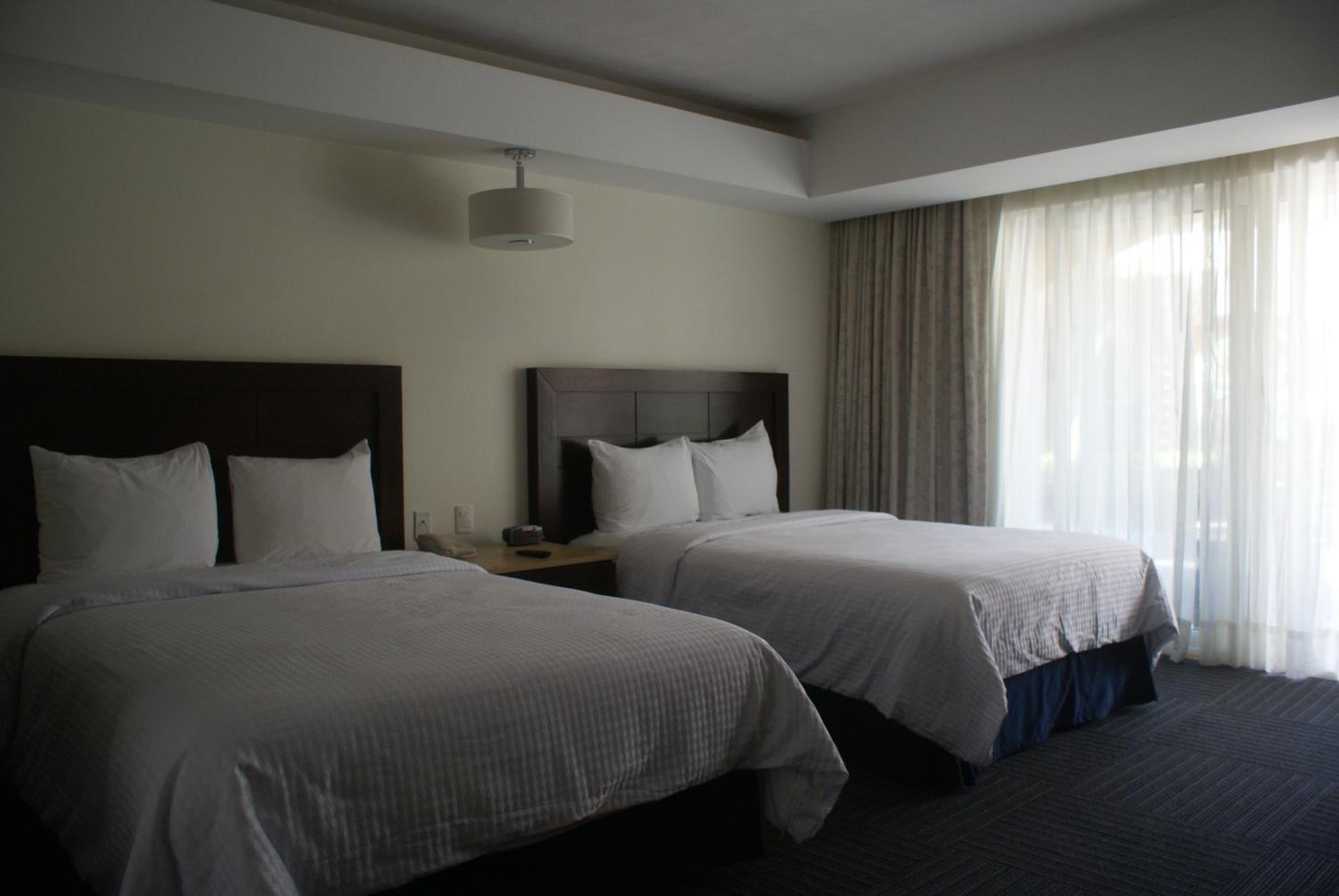 Executive Double Room - Photo 8