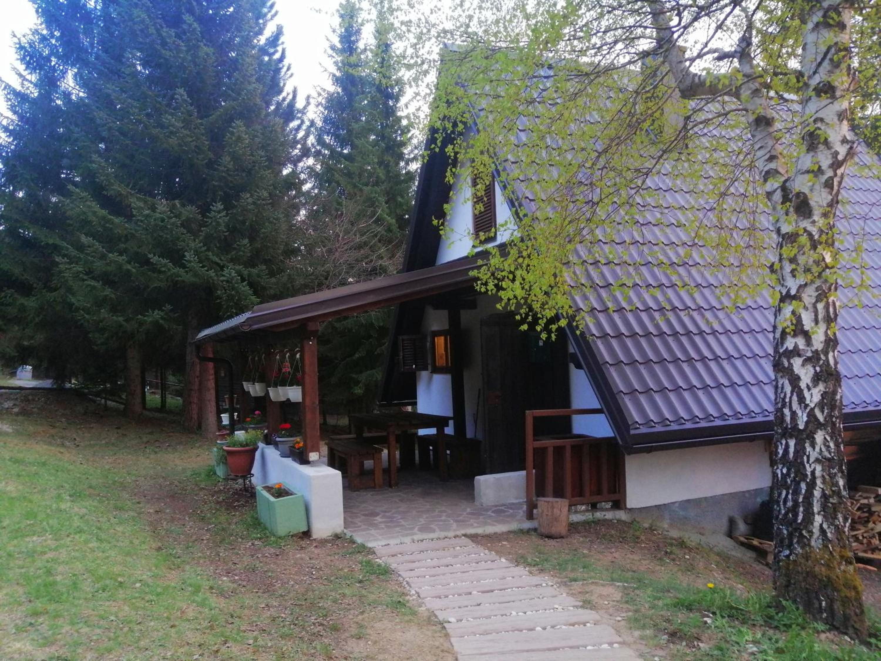 Vacation Home photo 3