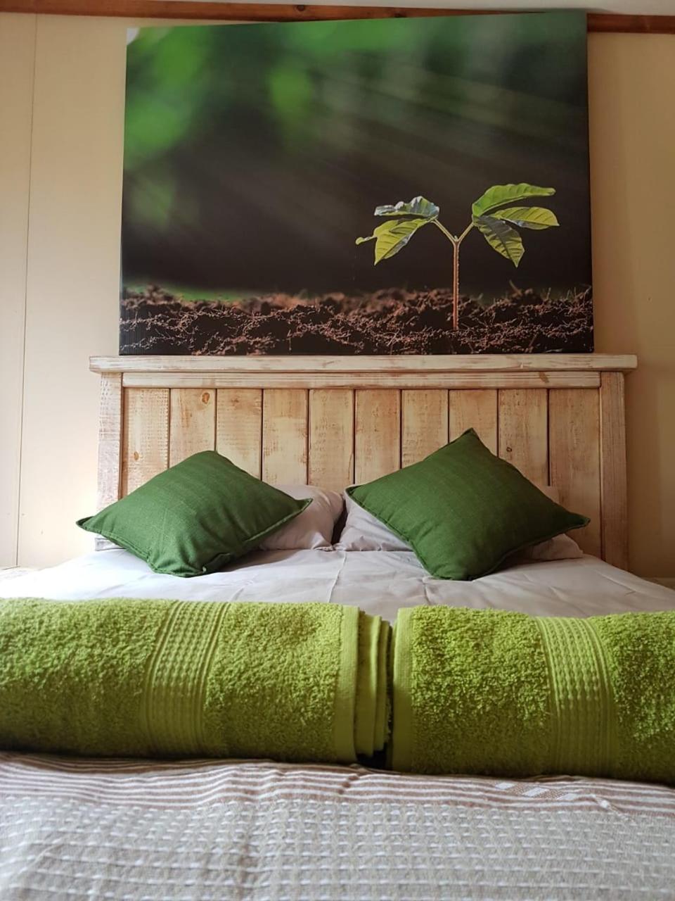 Two-Bedroom Chalet photo 1