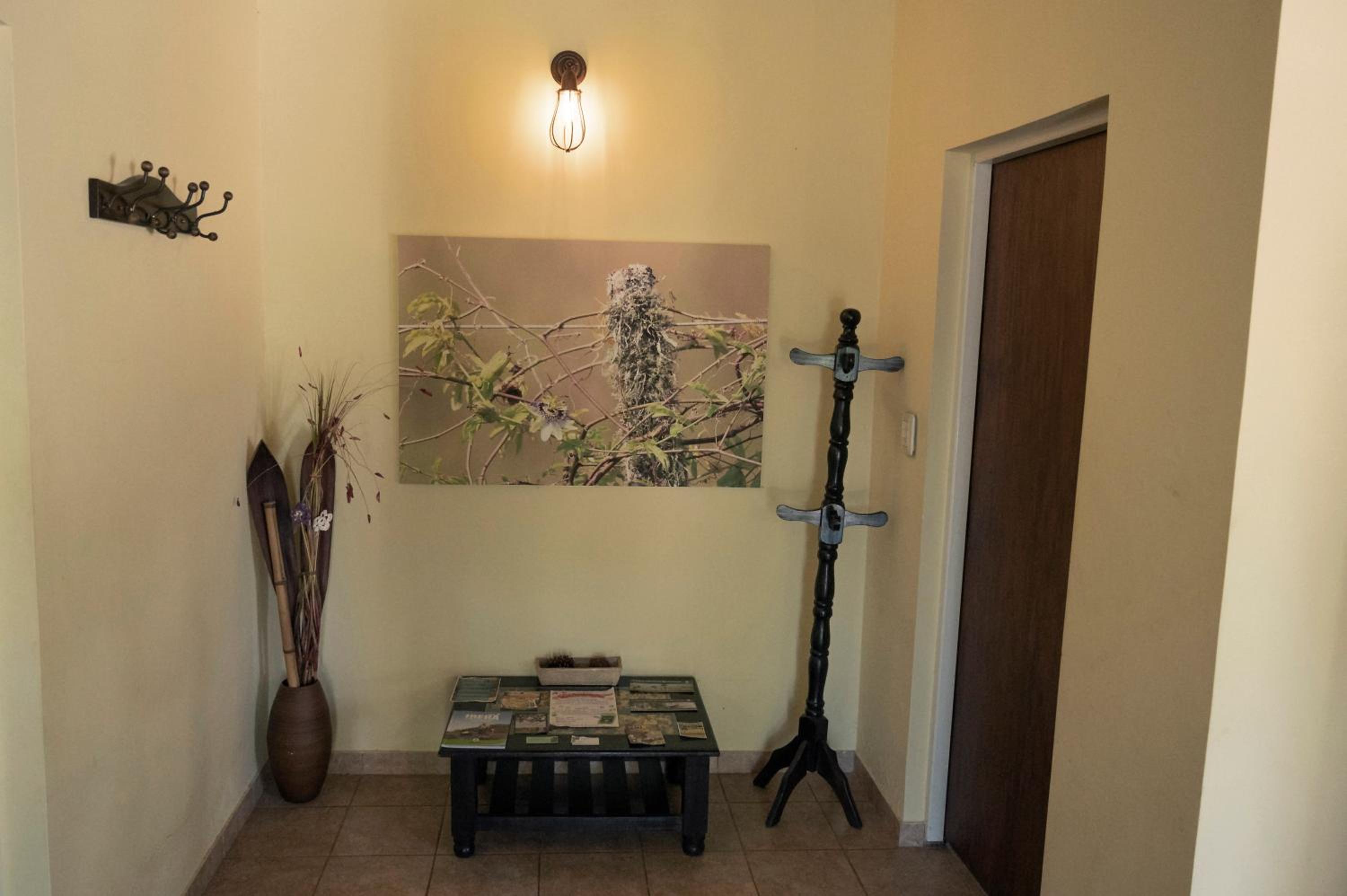 Superior Bungalow photo 2
