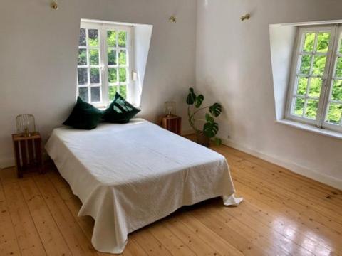 Apartment With Garden View photo 1