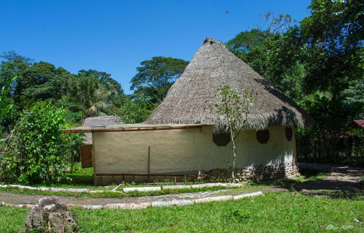 Bungalow Suite (2 Adults) photo 1