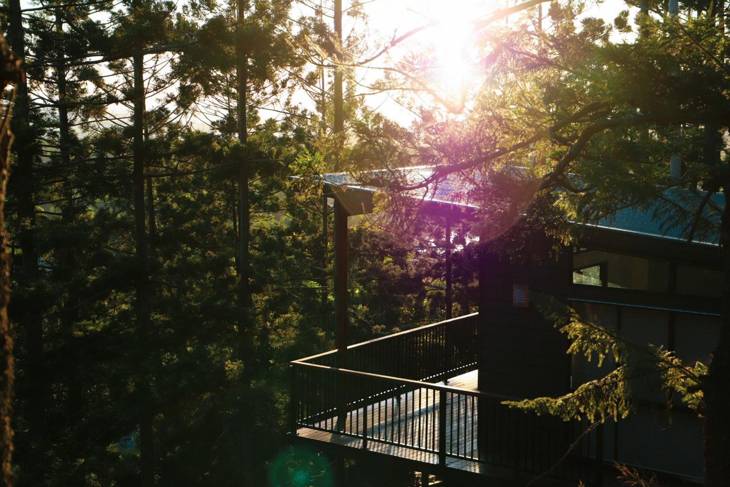 Chalet - Photo 16