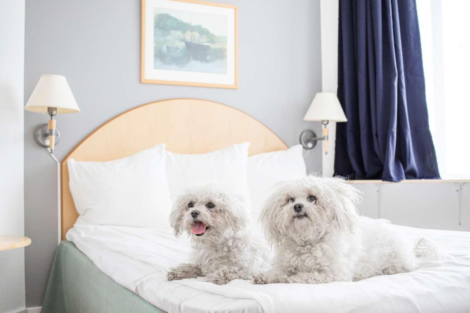 Standard Quadruple Room with Double Bed - Pet-Friendly/Non-Smoking - Photo 14