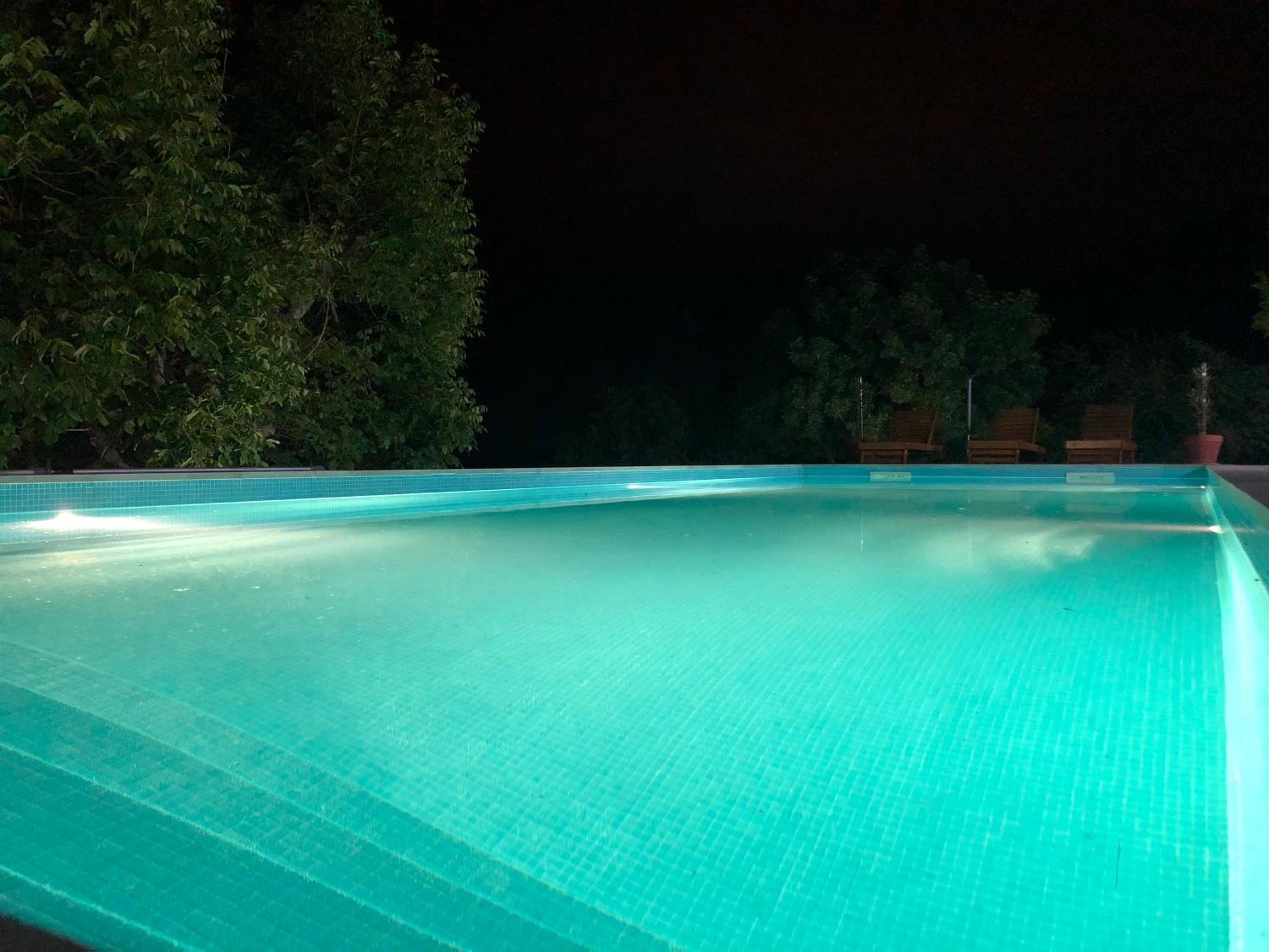 Deluxe Villa photo 3