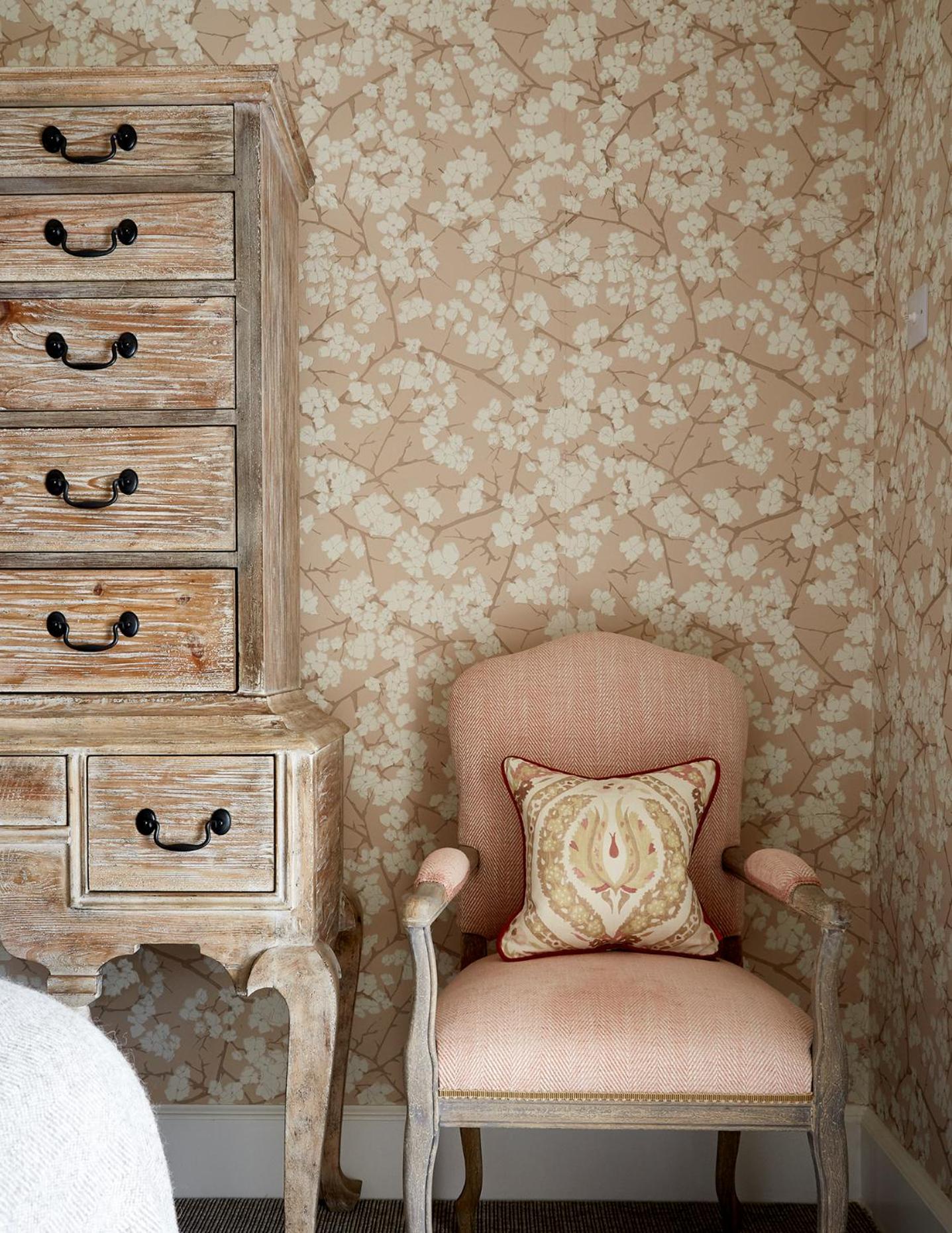 Deluxe King Suite photo 3
