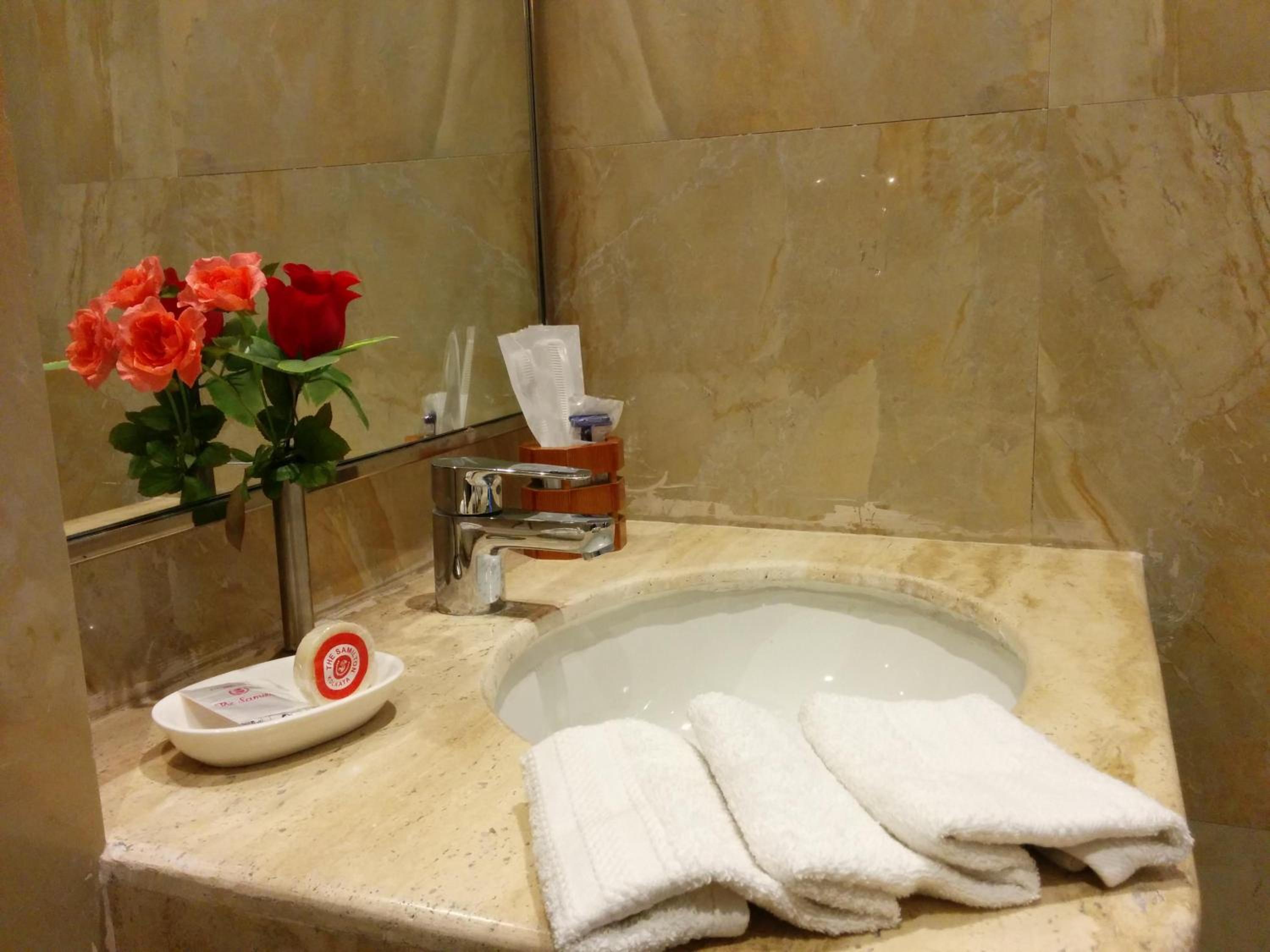 Deluxe Double or Twin Room - Photo 16