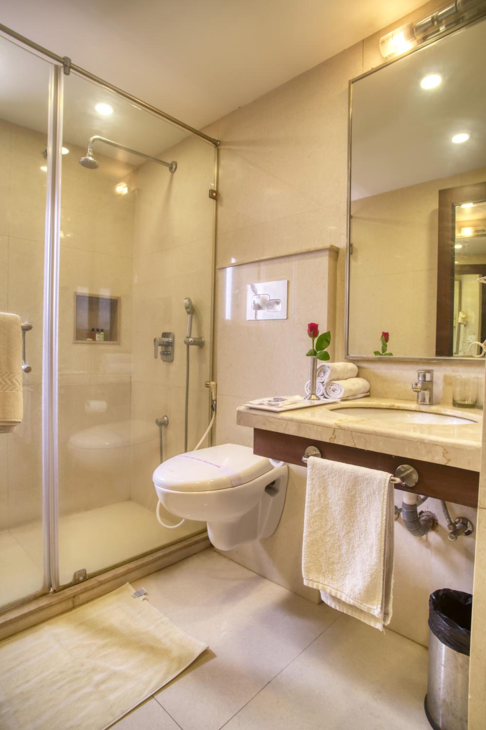 Deluxe Double or Twin Room - Photo 5
