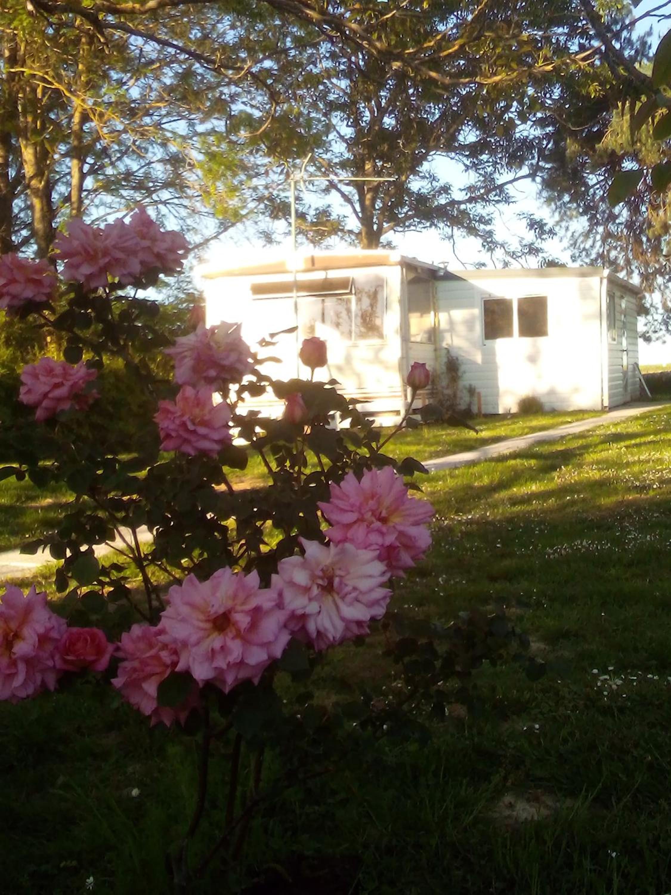 Mobile Home - Photo 40