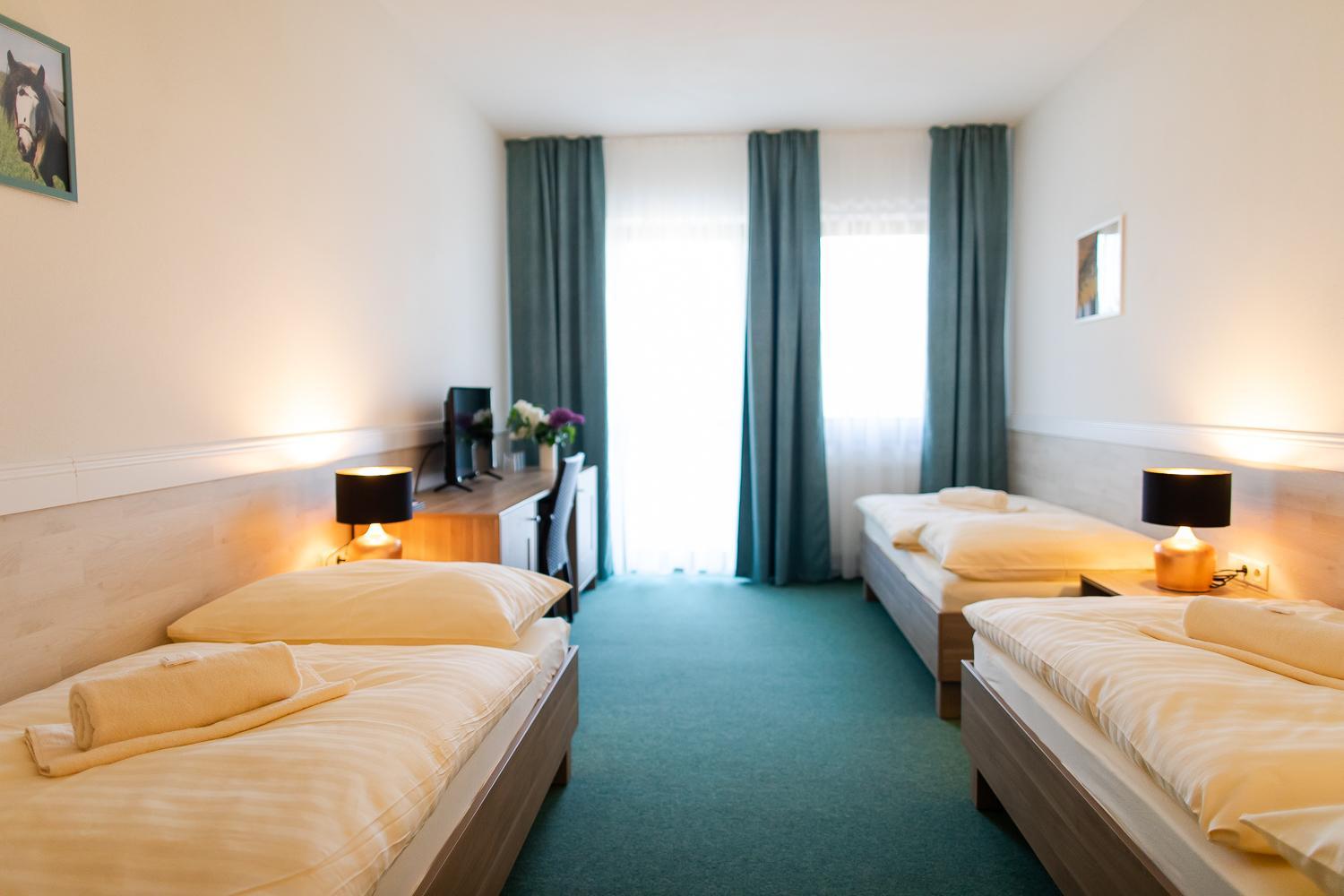 Double or Twin Room - Photo 4