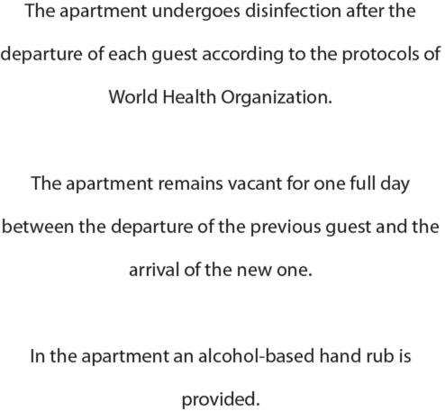 Penthouse Studio Apartment photo 2