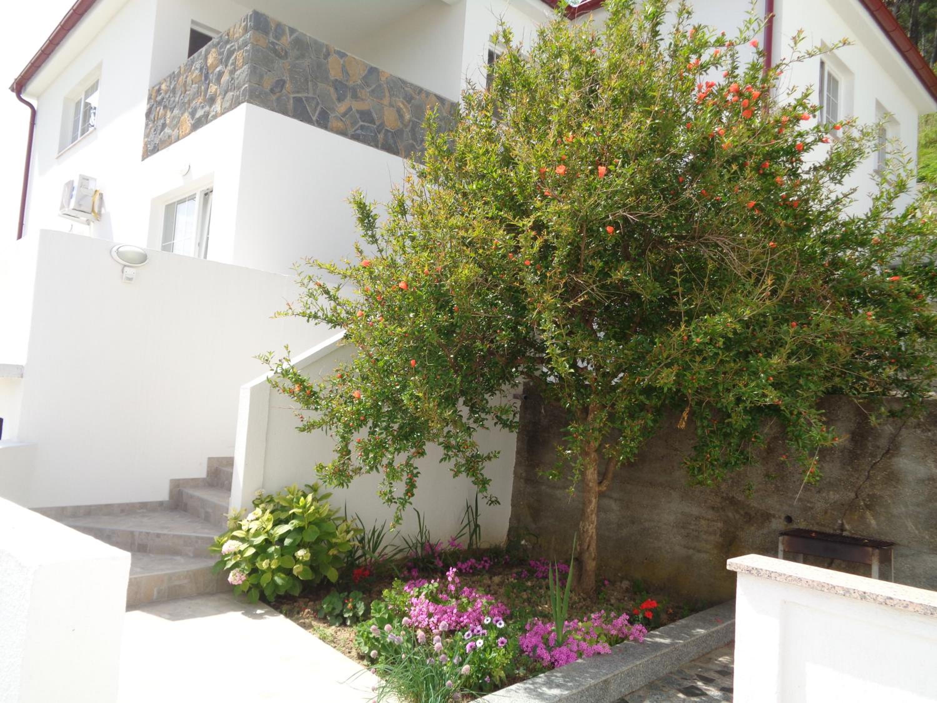 One-Bedroom Apartment with Balcony photo 2