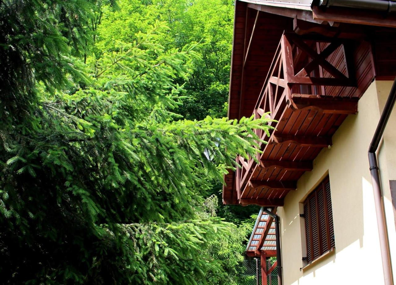 Family Bungalow photo 3