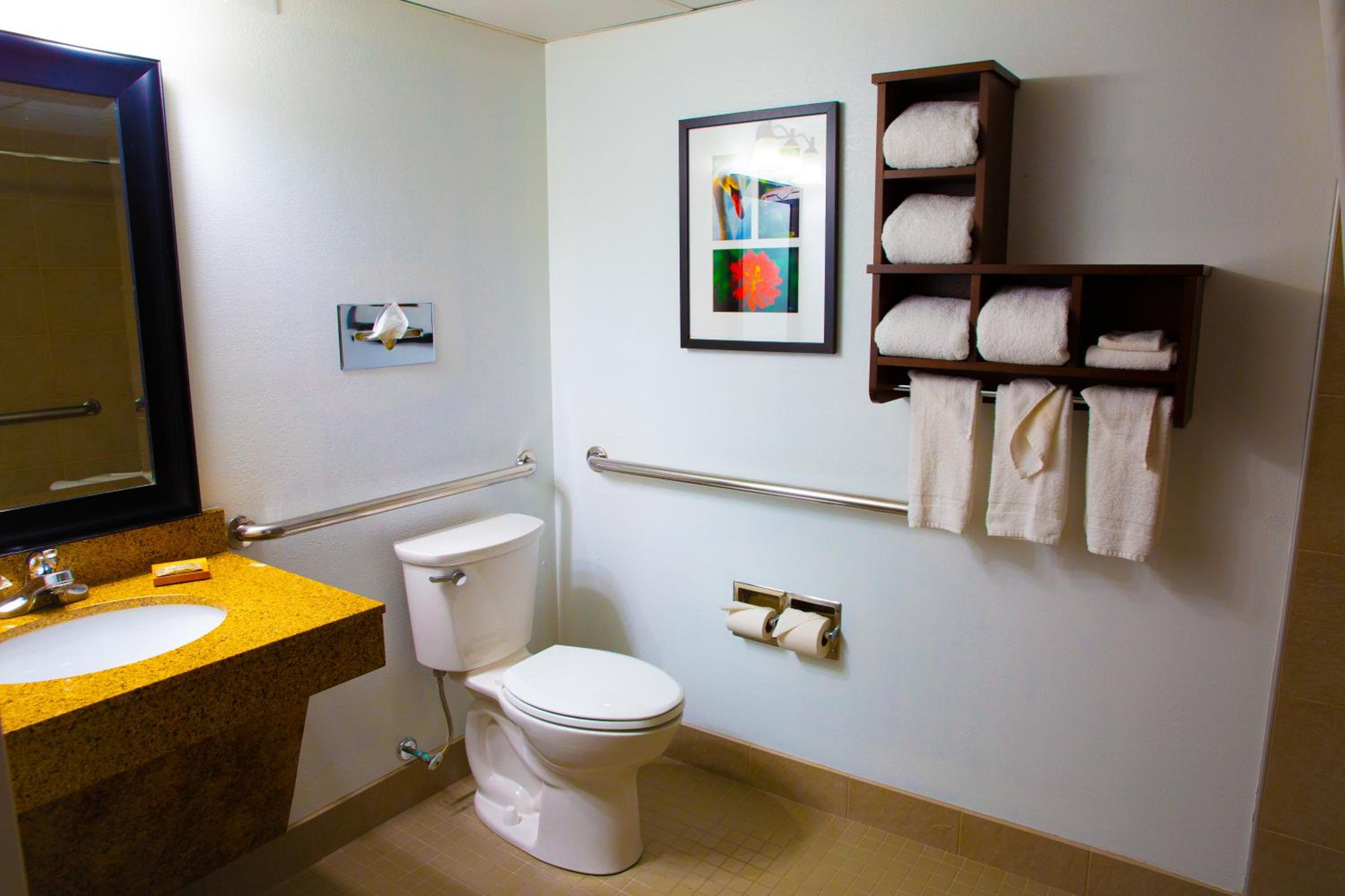 One-Bedroom King Suite - Disability Access/Non-Smoking - Photo 3
