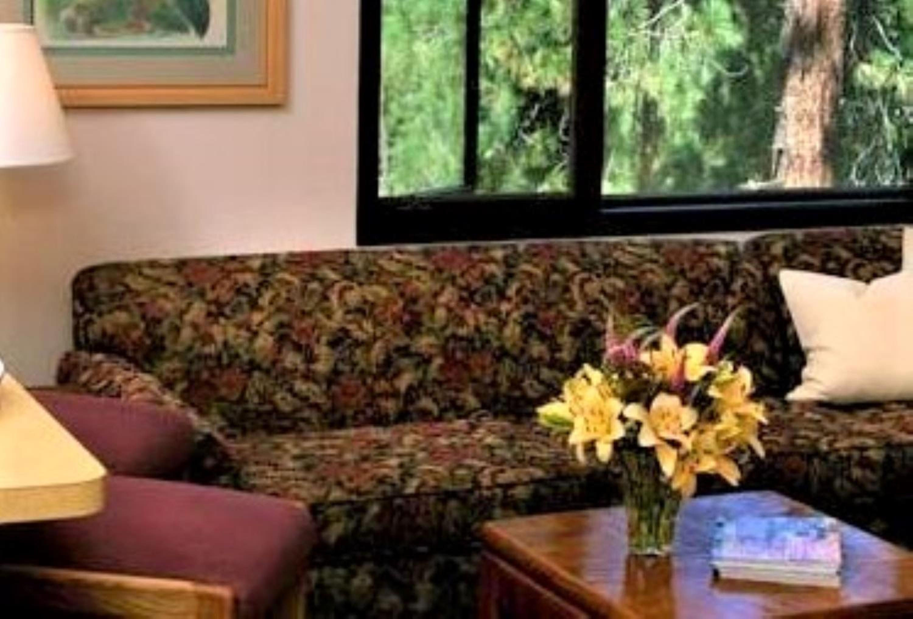 Suite (4 Adults)