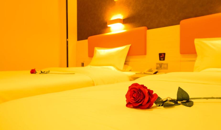 Superior Twin Room photo 2
