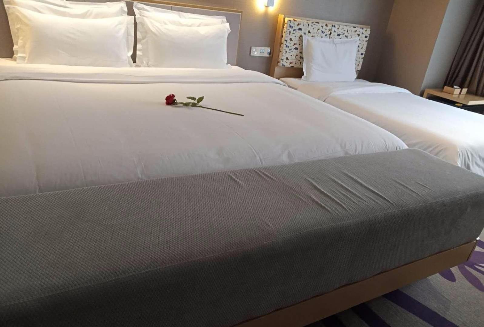 Twin/Double Room