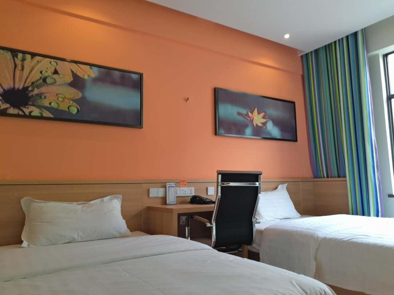 Comfortable Twin Room photo 1