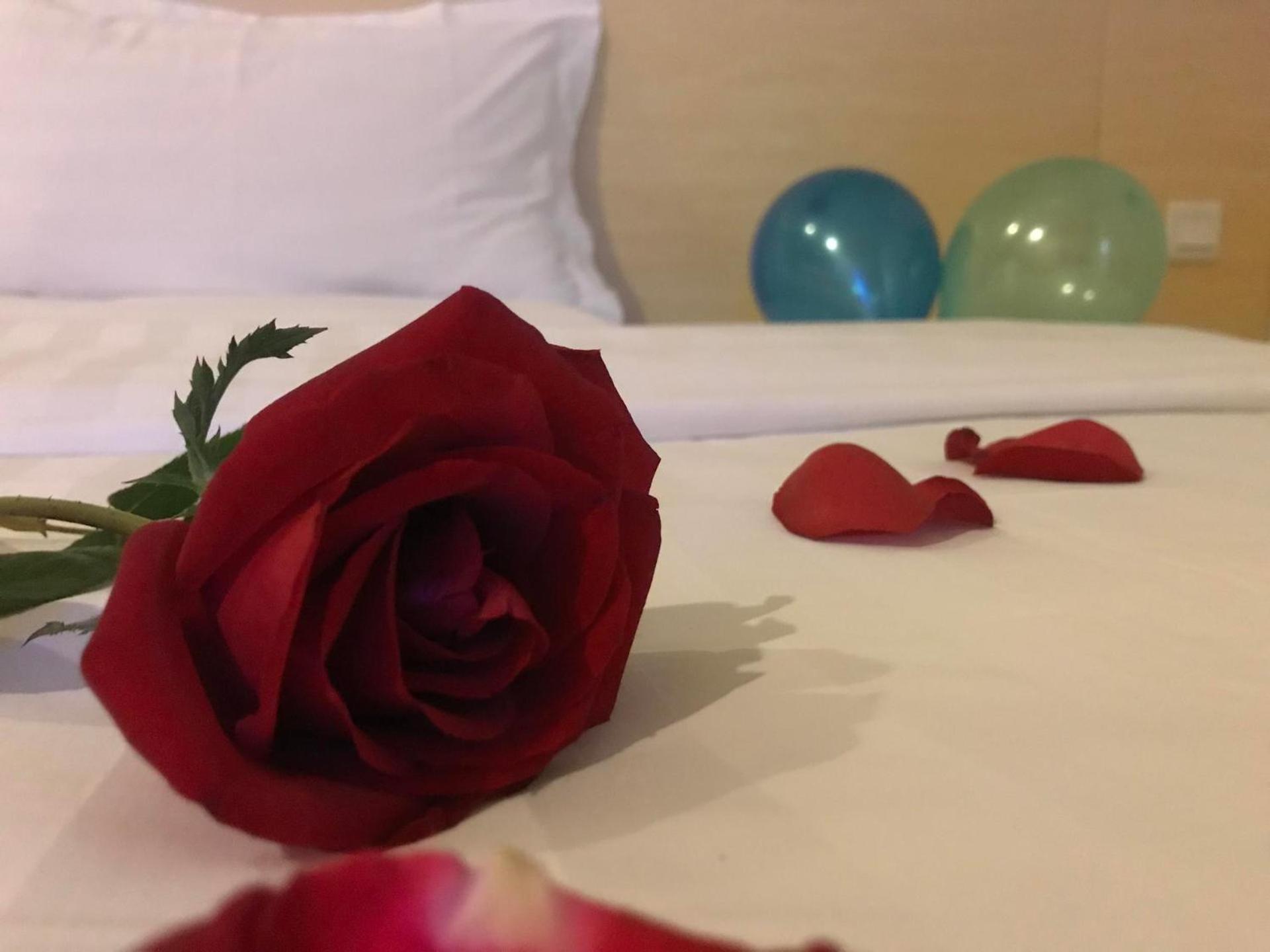 Comfortable Queen Room photo 3
