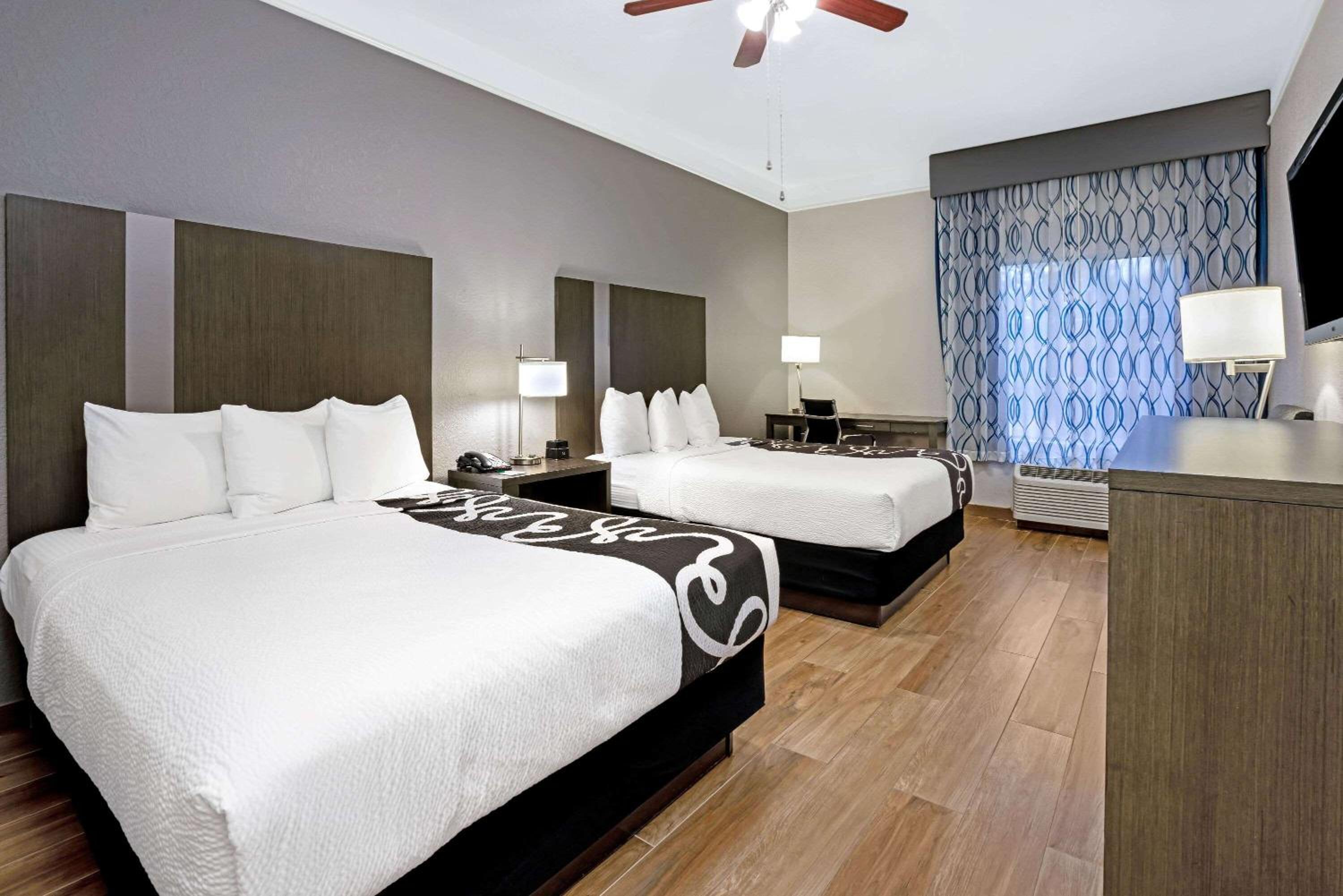 Queen Room with Roll-in Shower and Forest View - Mobility/Hearing Accessible - Non-Smoking - Photo 1