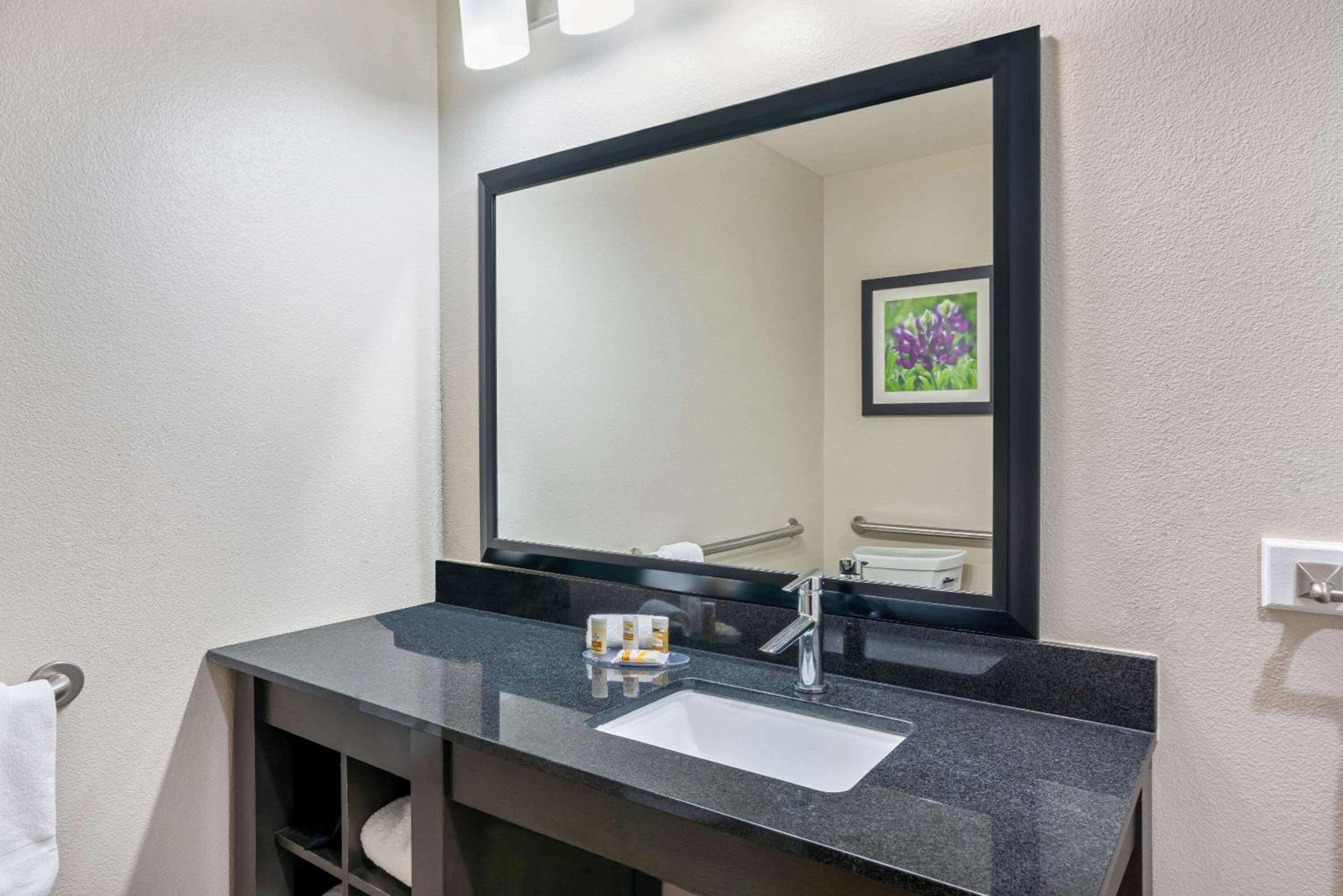 King Suite photo 3