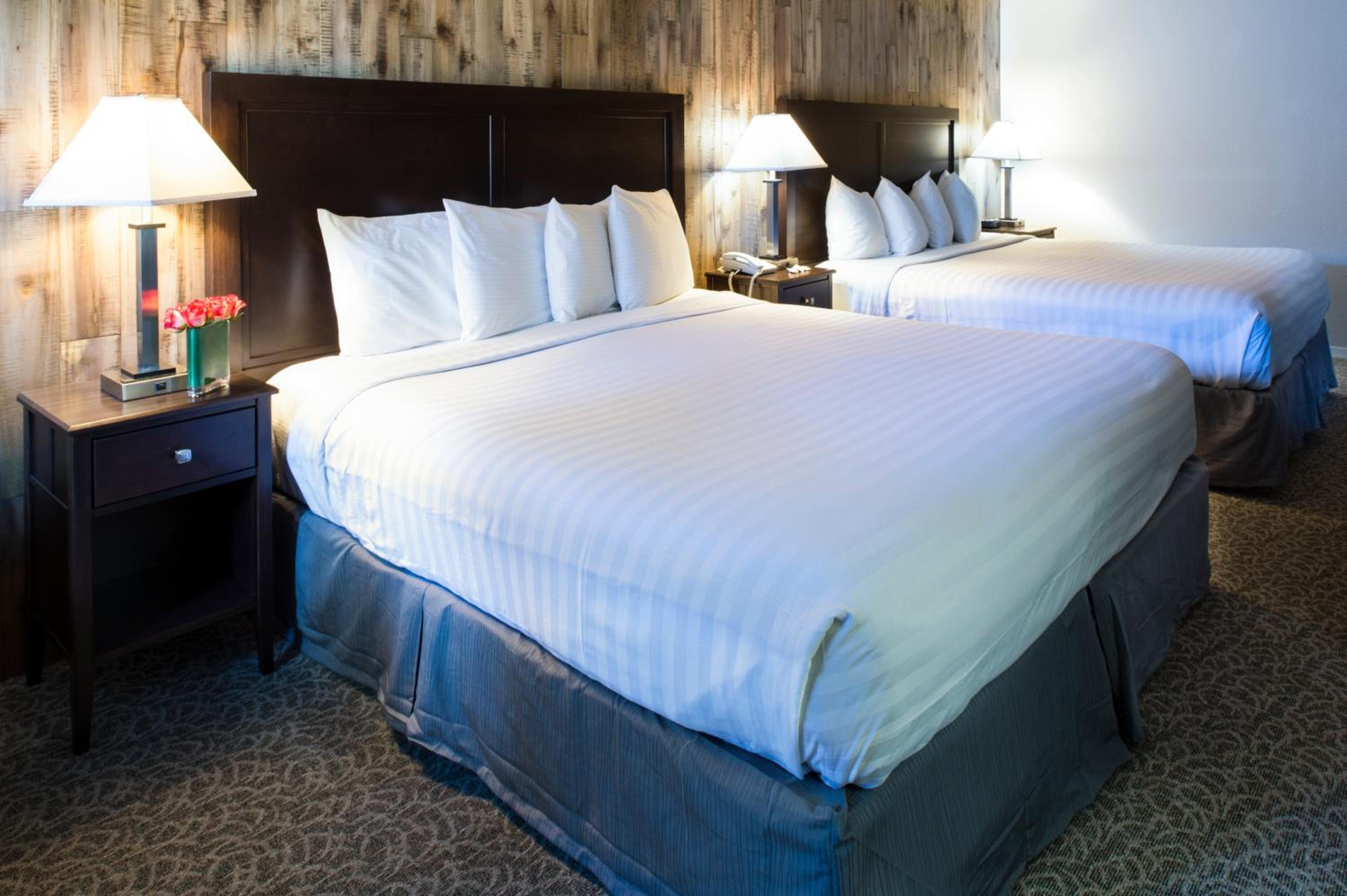Family Double Room