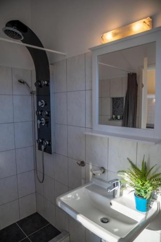Studio Apartment photo 3