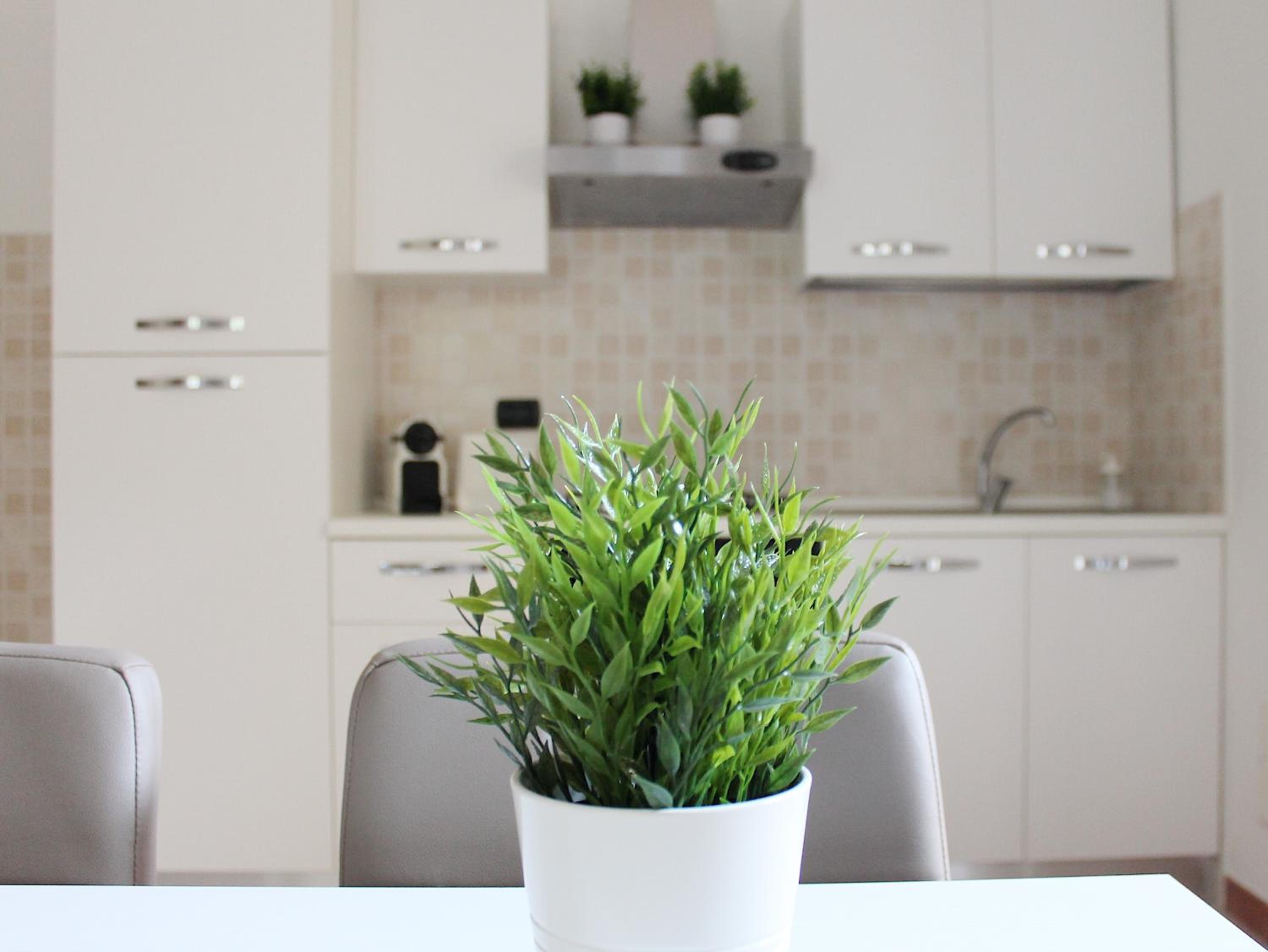 Studio Apartment photo 3