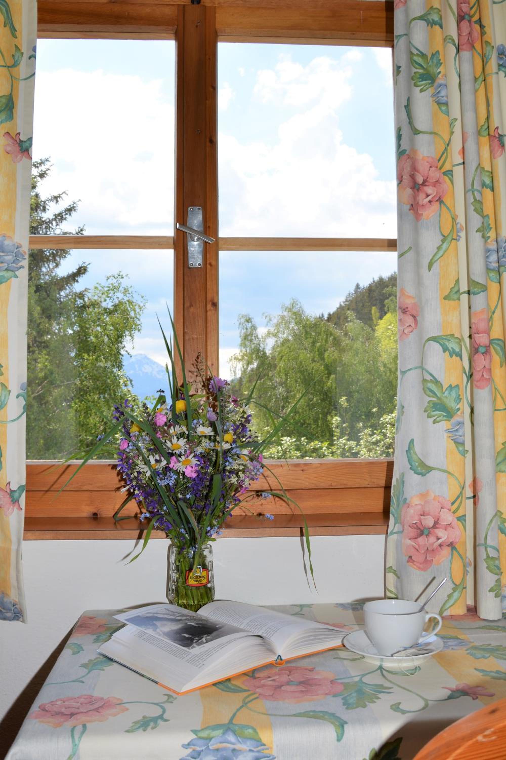 Apartment with Mountain View photo 3