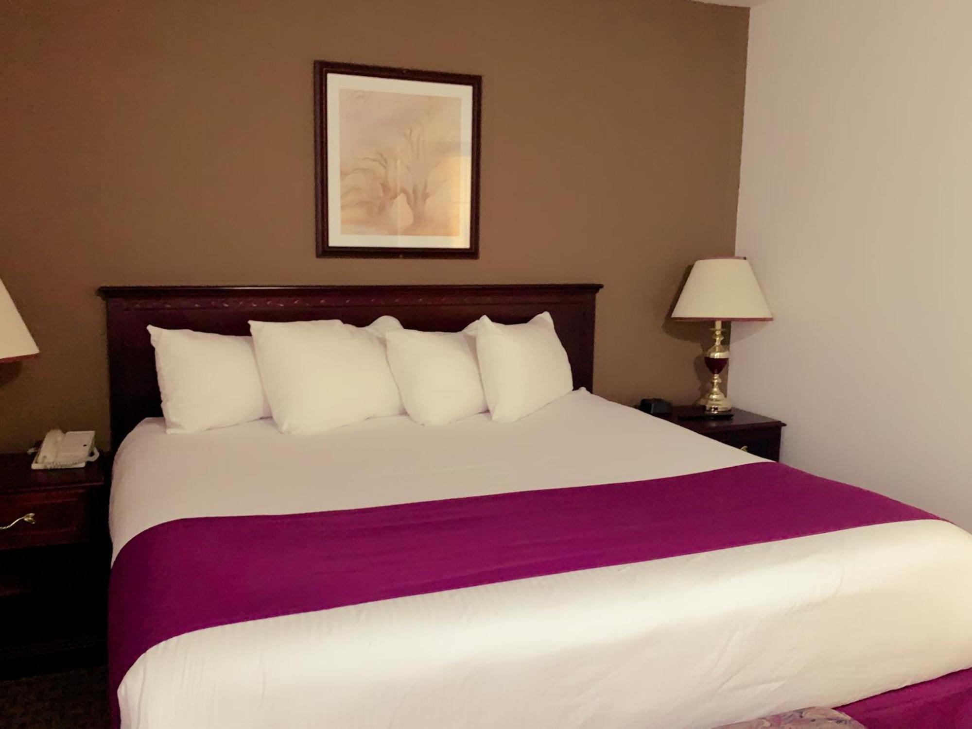 One-Bedroom Executive Business King Suite - Non-Smoking - Photo 5