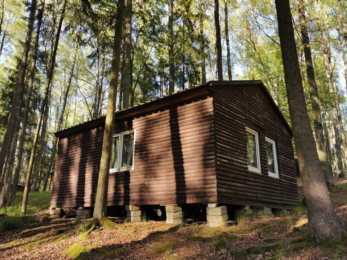 Two-Bedroom Chalet photo 2