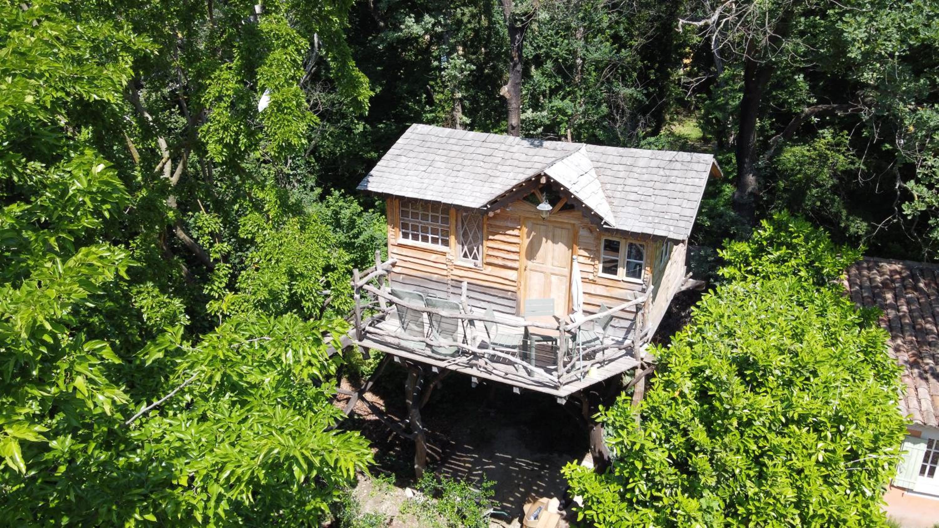 Tree House
