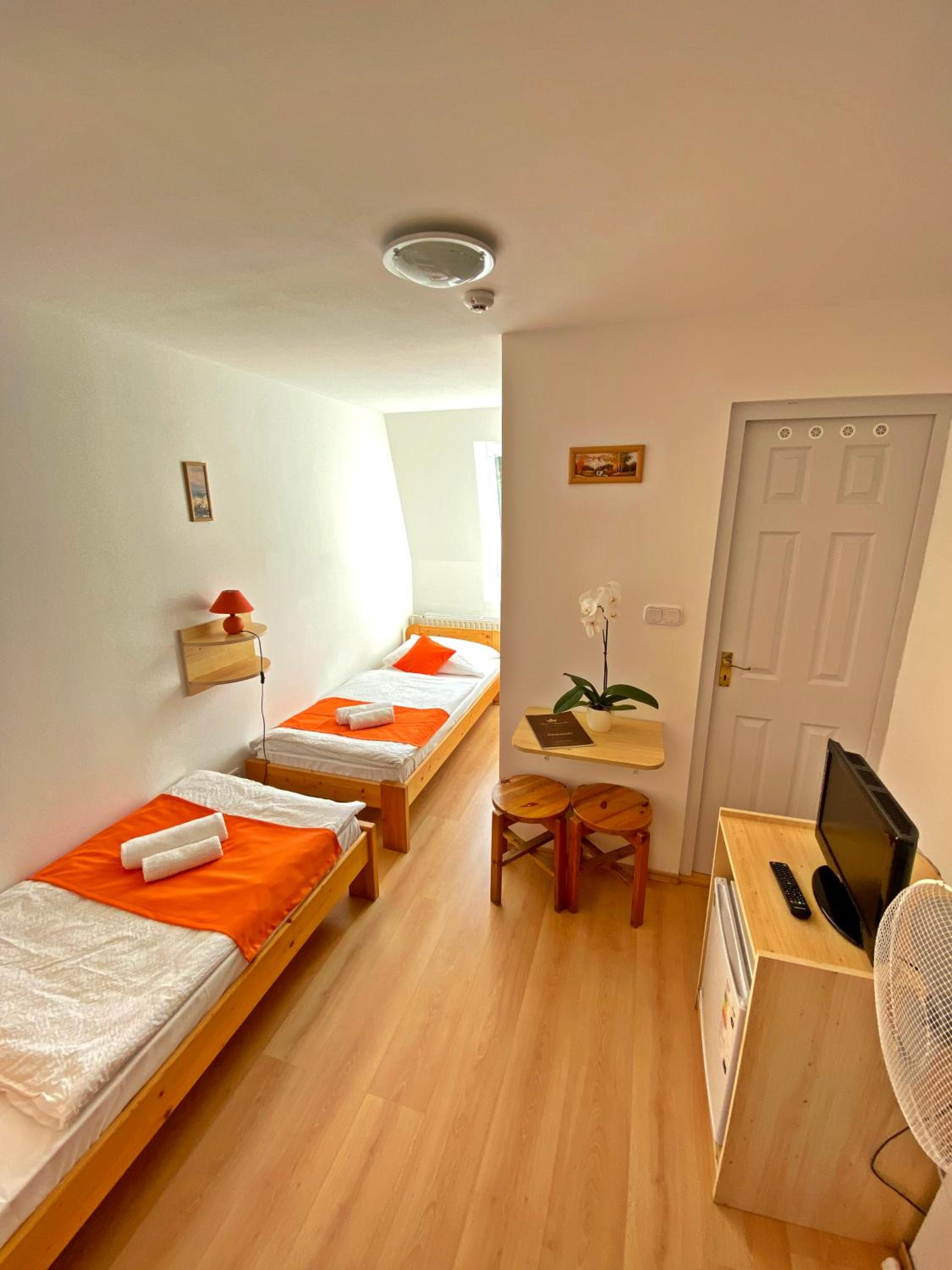 Twin Room photo 2