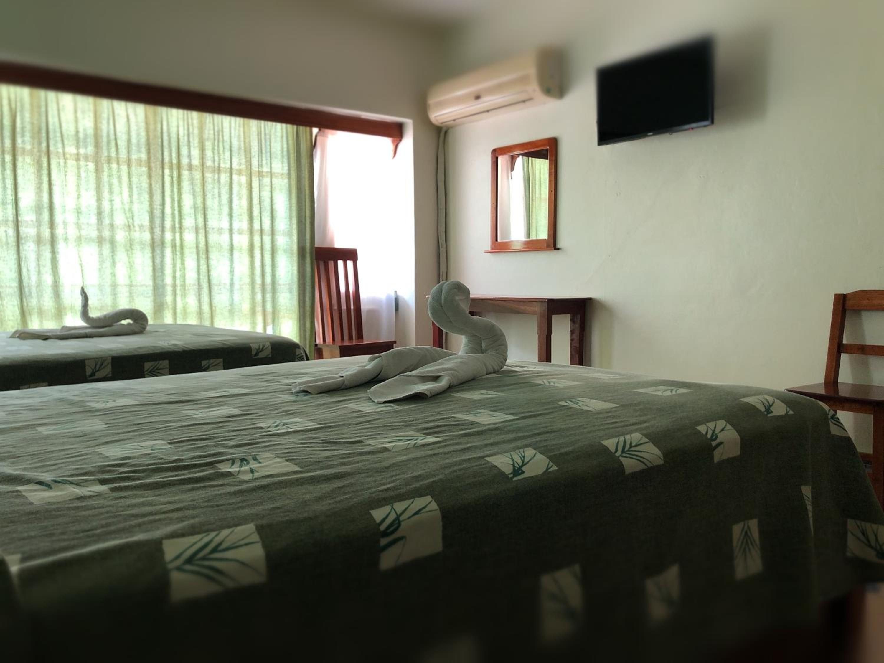 Double Room with Two Double Beds