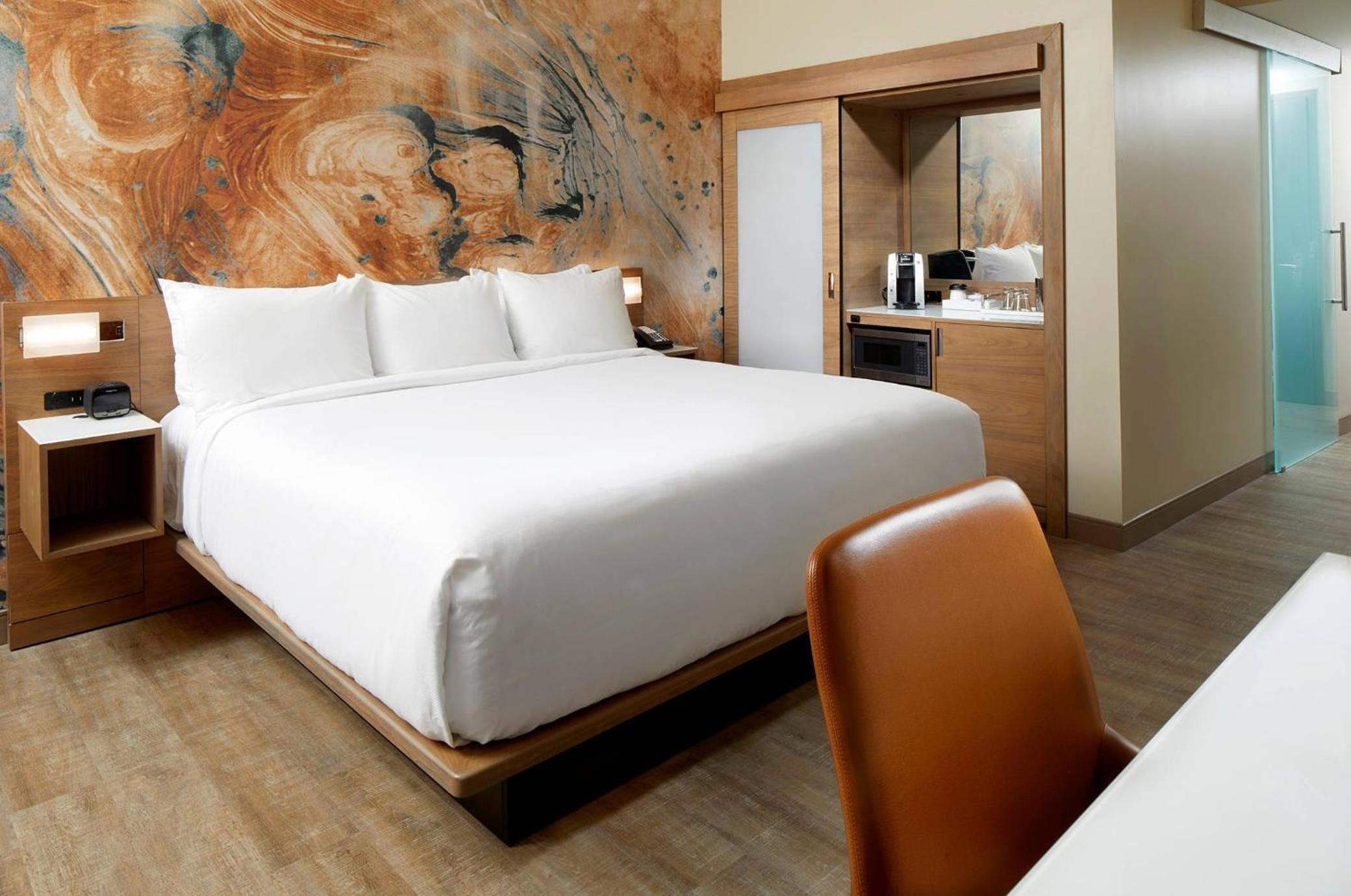 King Room - Non Smoking/Pet Friendly