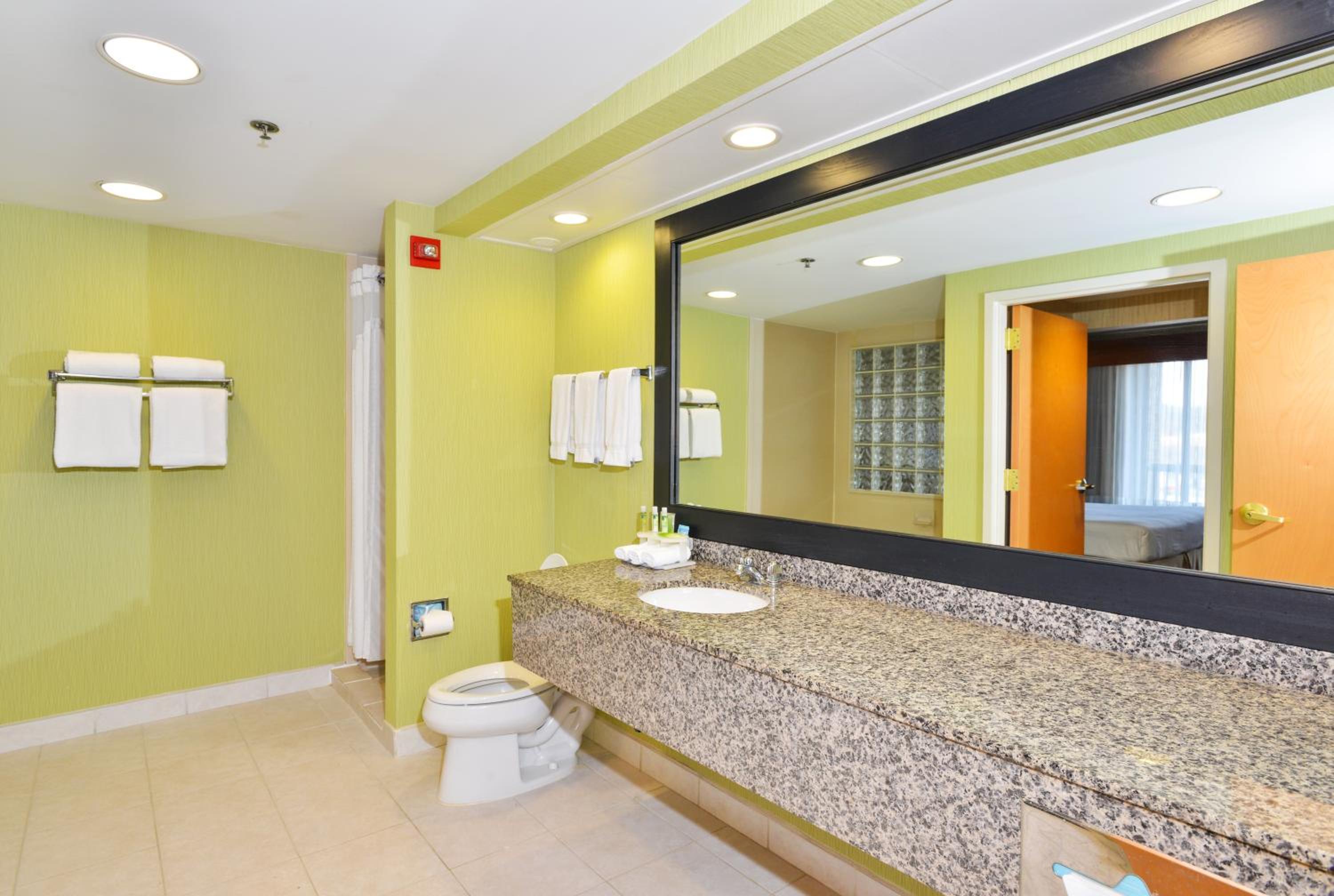 One-Bedroom Suite - Photo 4
