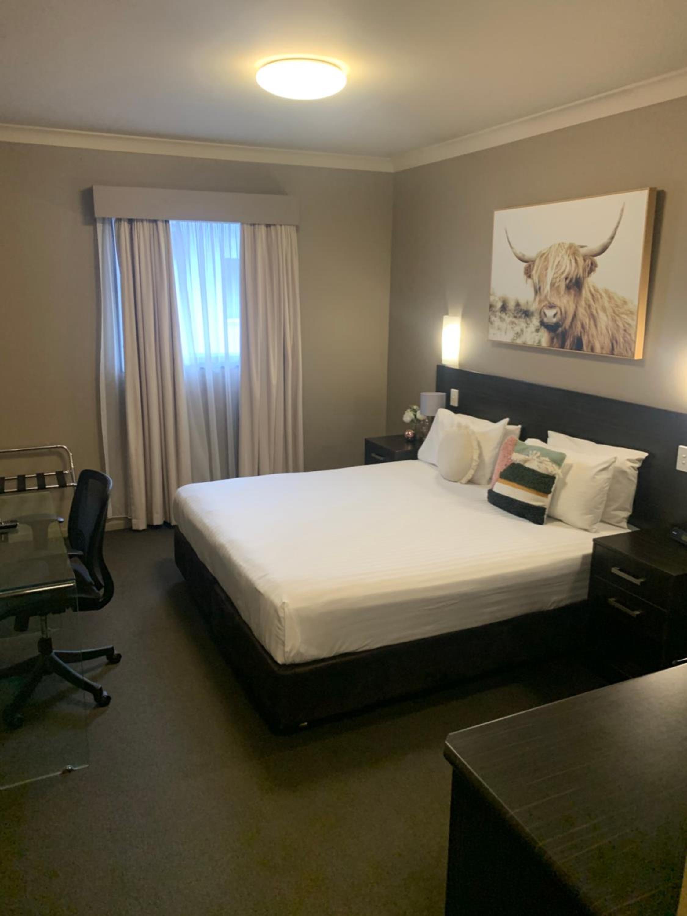 Deluxe Queen Room photo 3