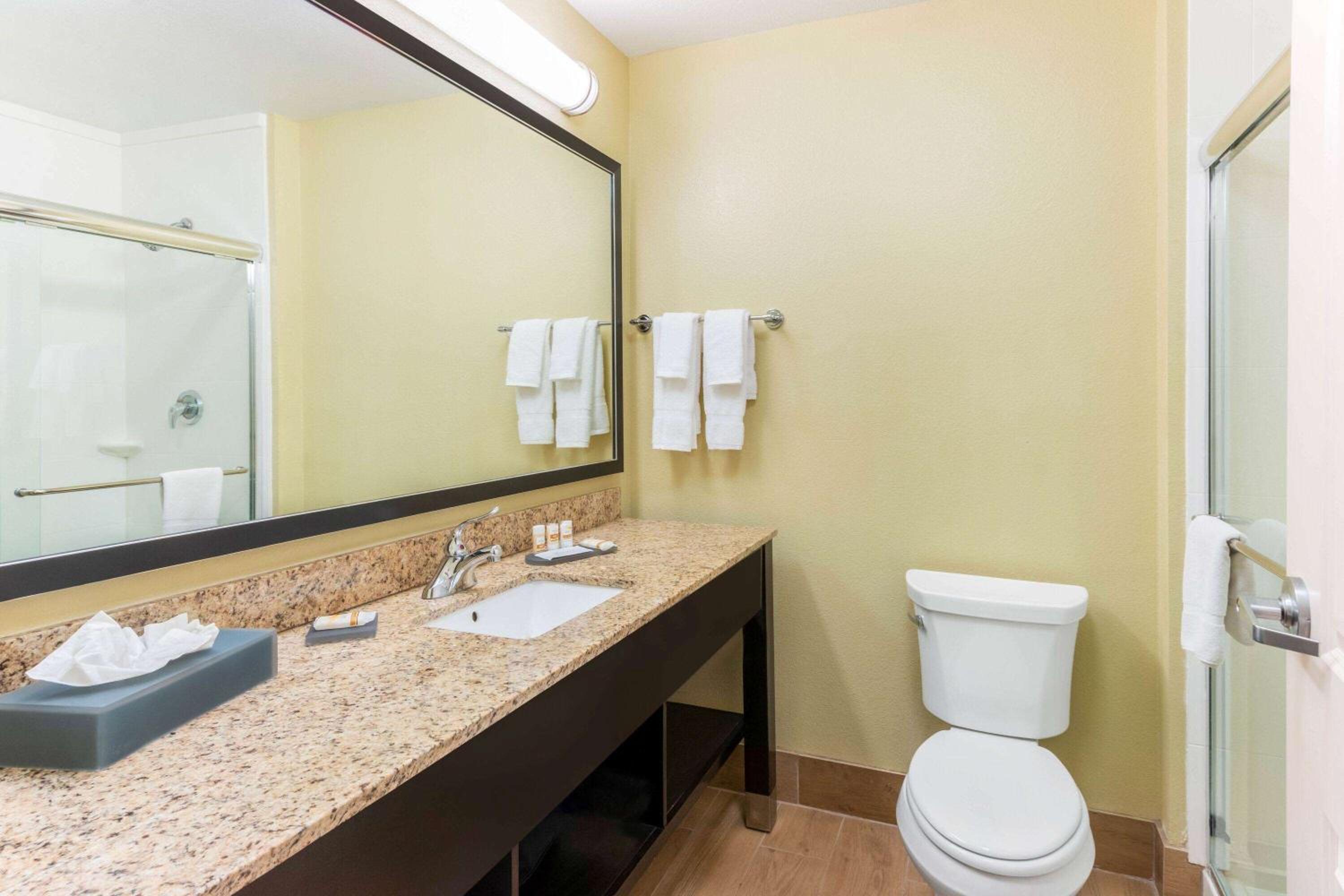 Deluxe King Suite - Non-Smoking photo 2