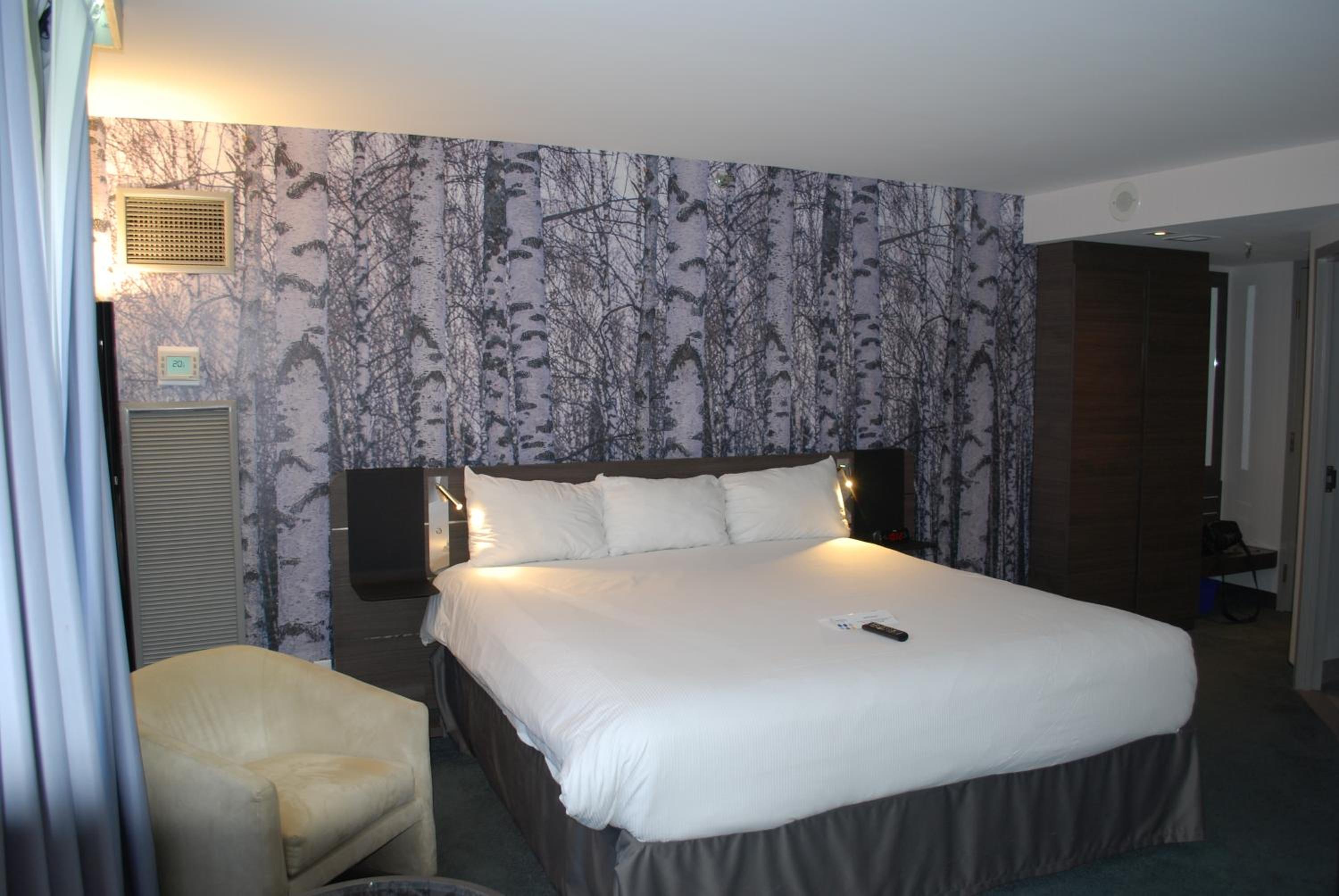 King Room - Photo 1