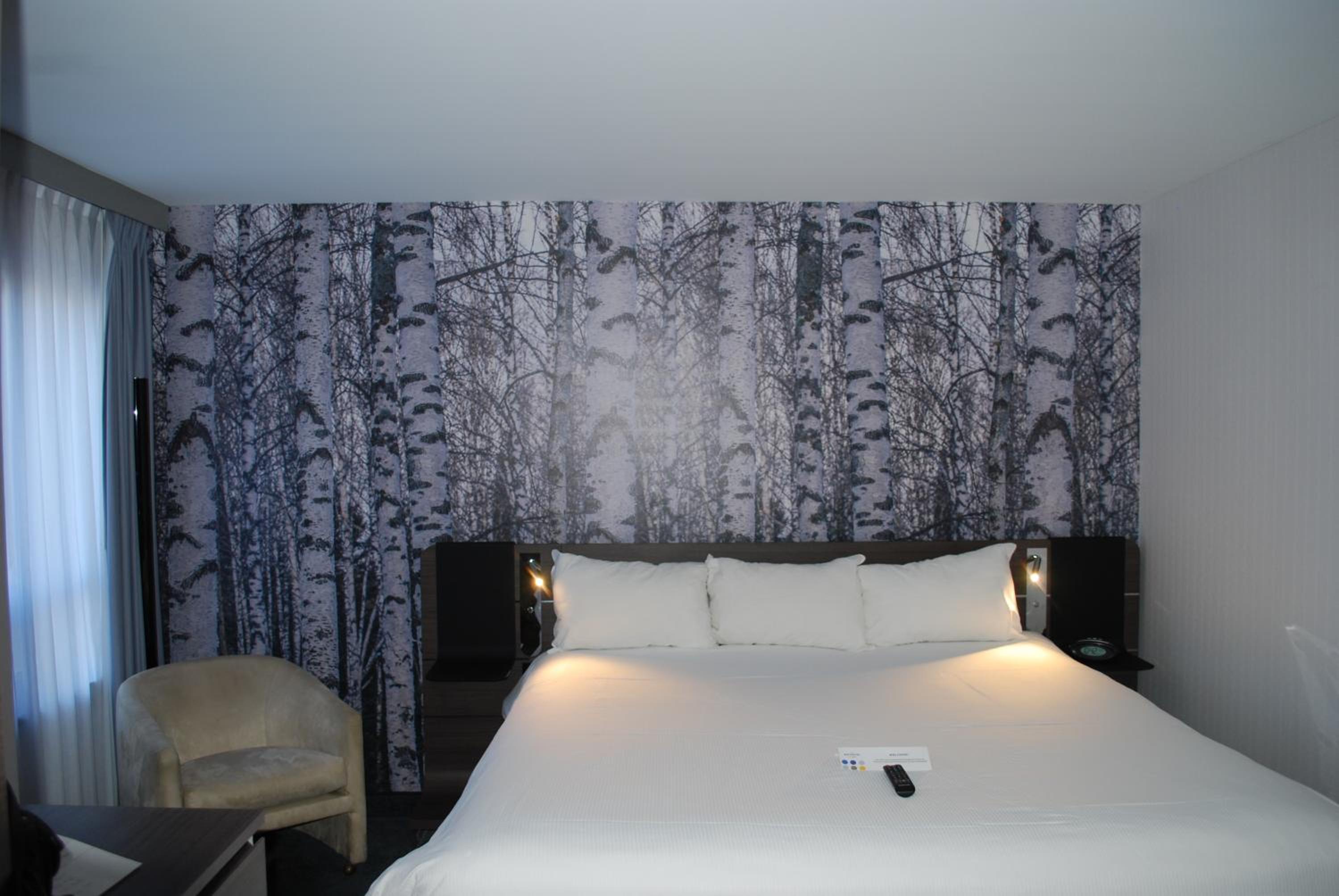 King Room - Photo 3