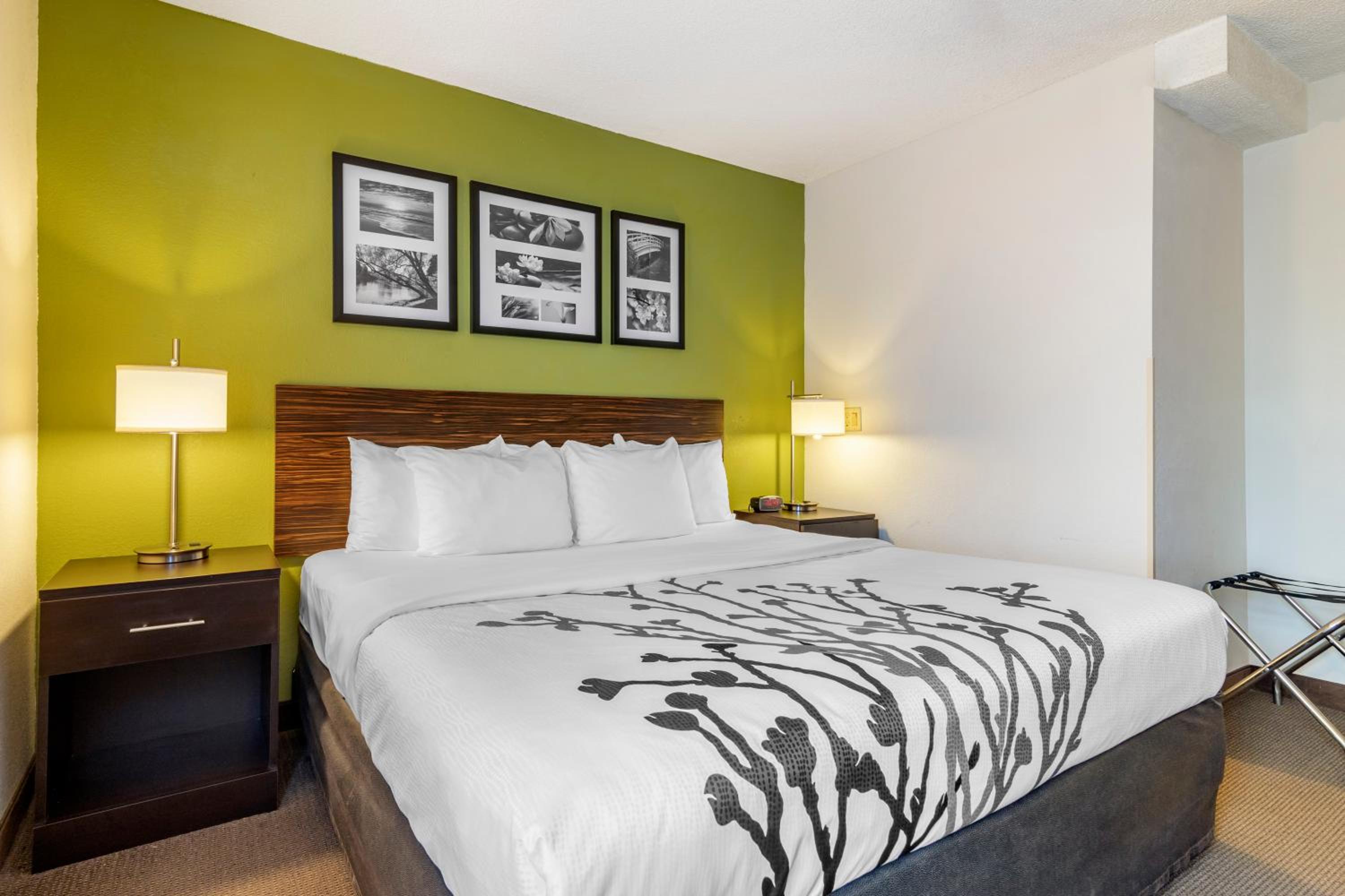 King Room - Accessible/Non-Smoking photo 1