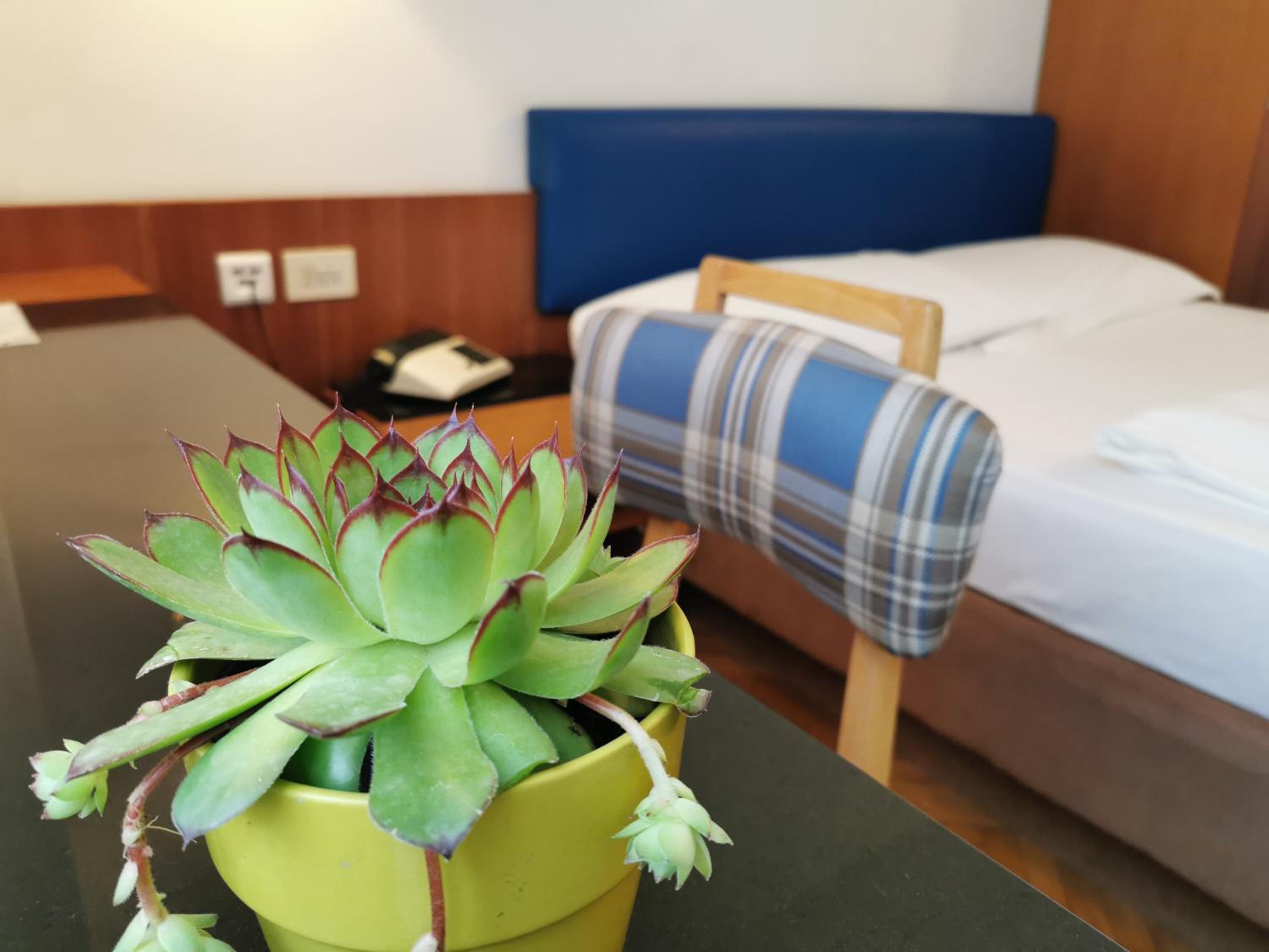 Superior Single Room photo 1