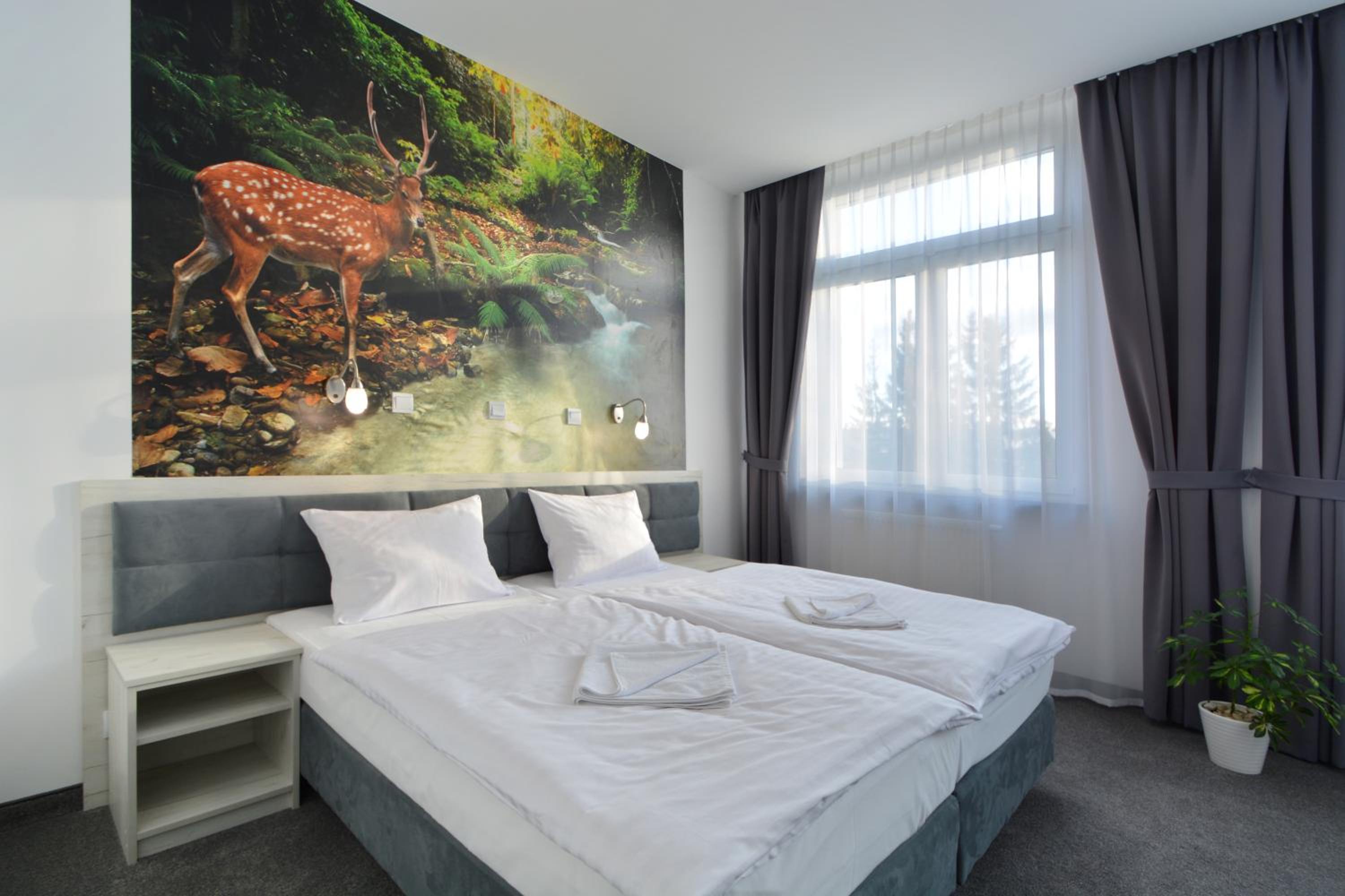 Double Room - Photo 1
