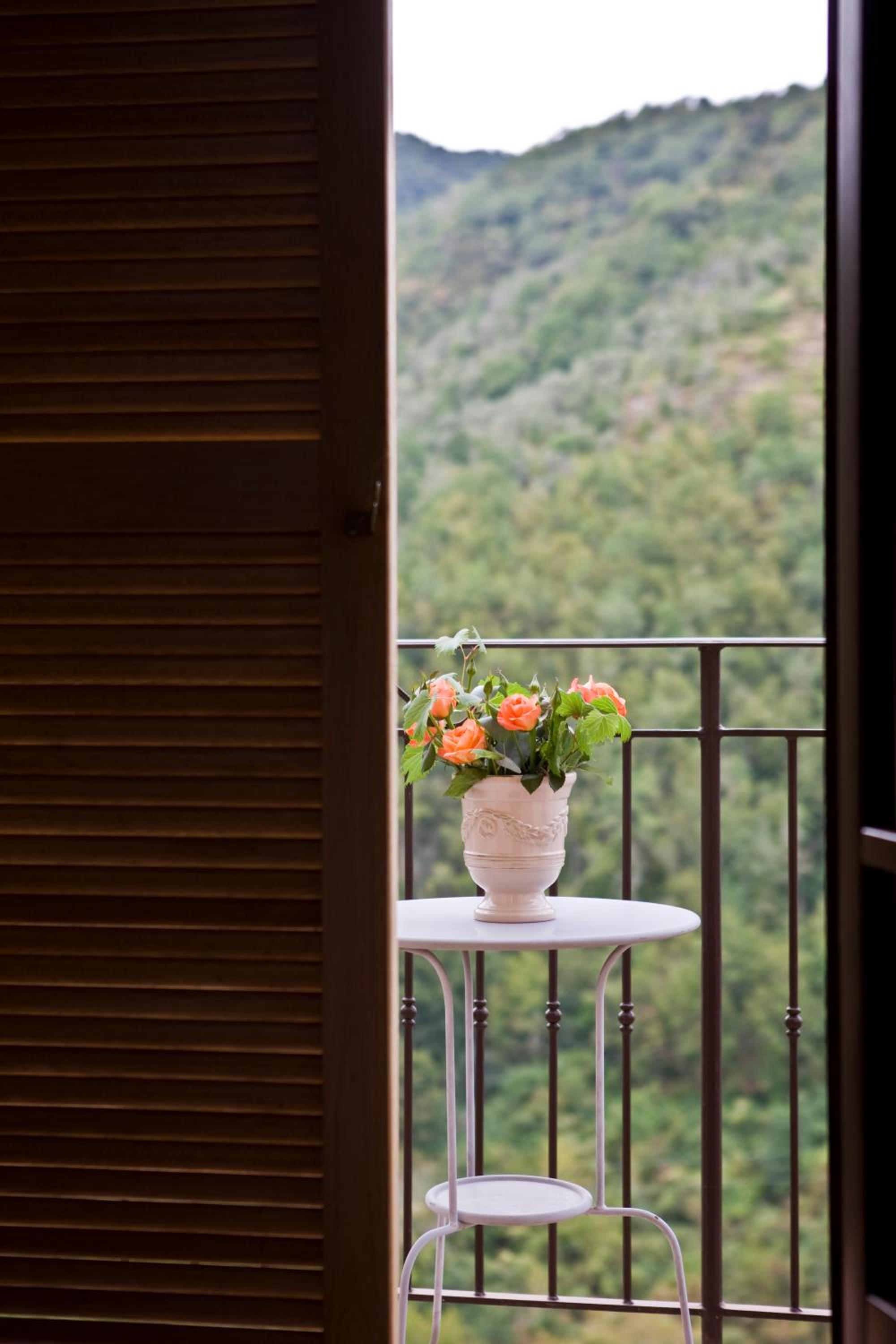 Double Room with Balcony photo 2