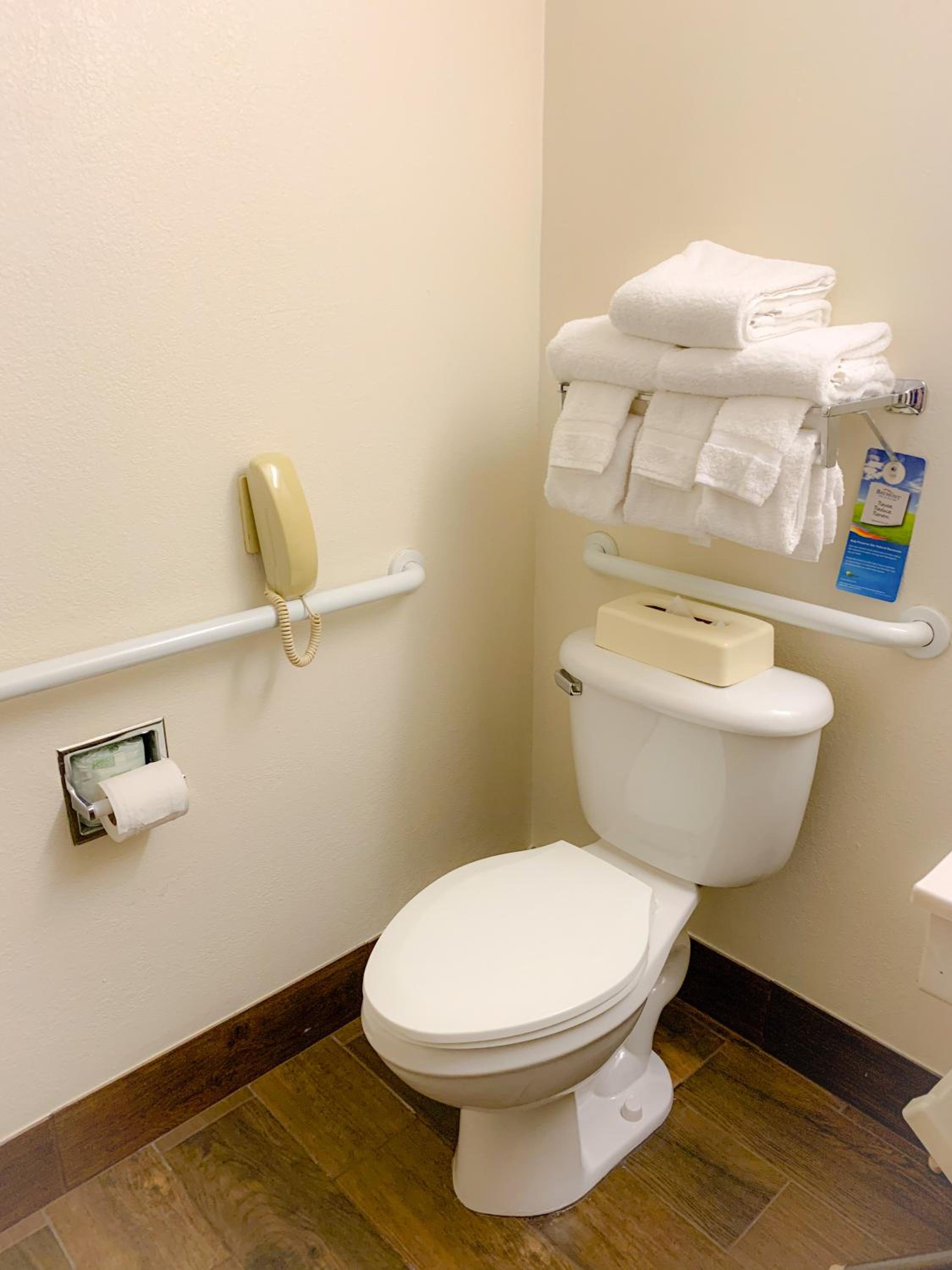 Queen Room with Roll-In Shower - Mobility Accessible/Non-Smoking - Photo 2